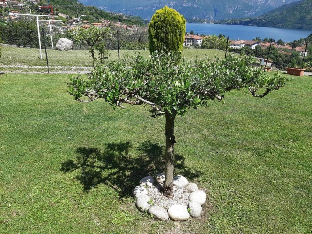 Garzola Bed & Breakfast