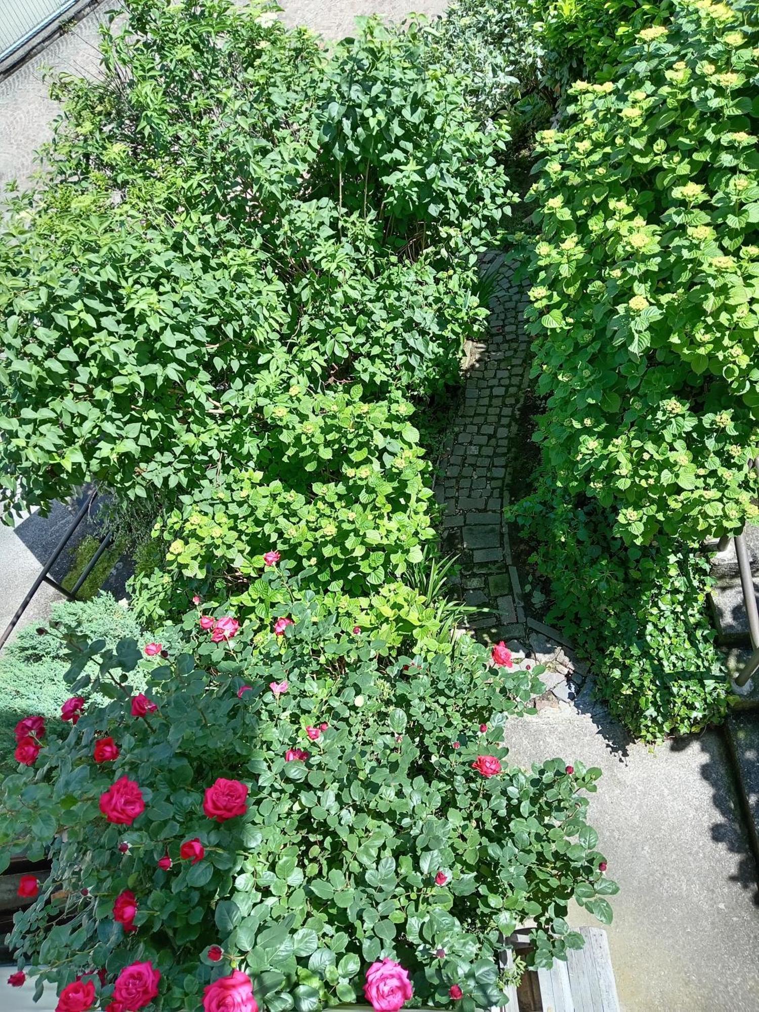 Carlotta House-lt Bellano