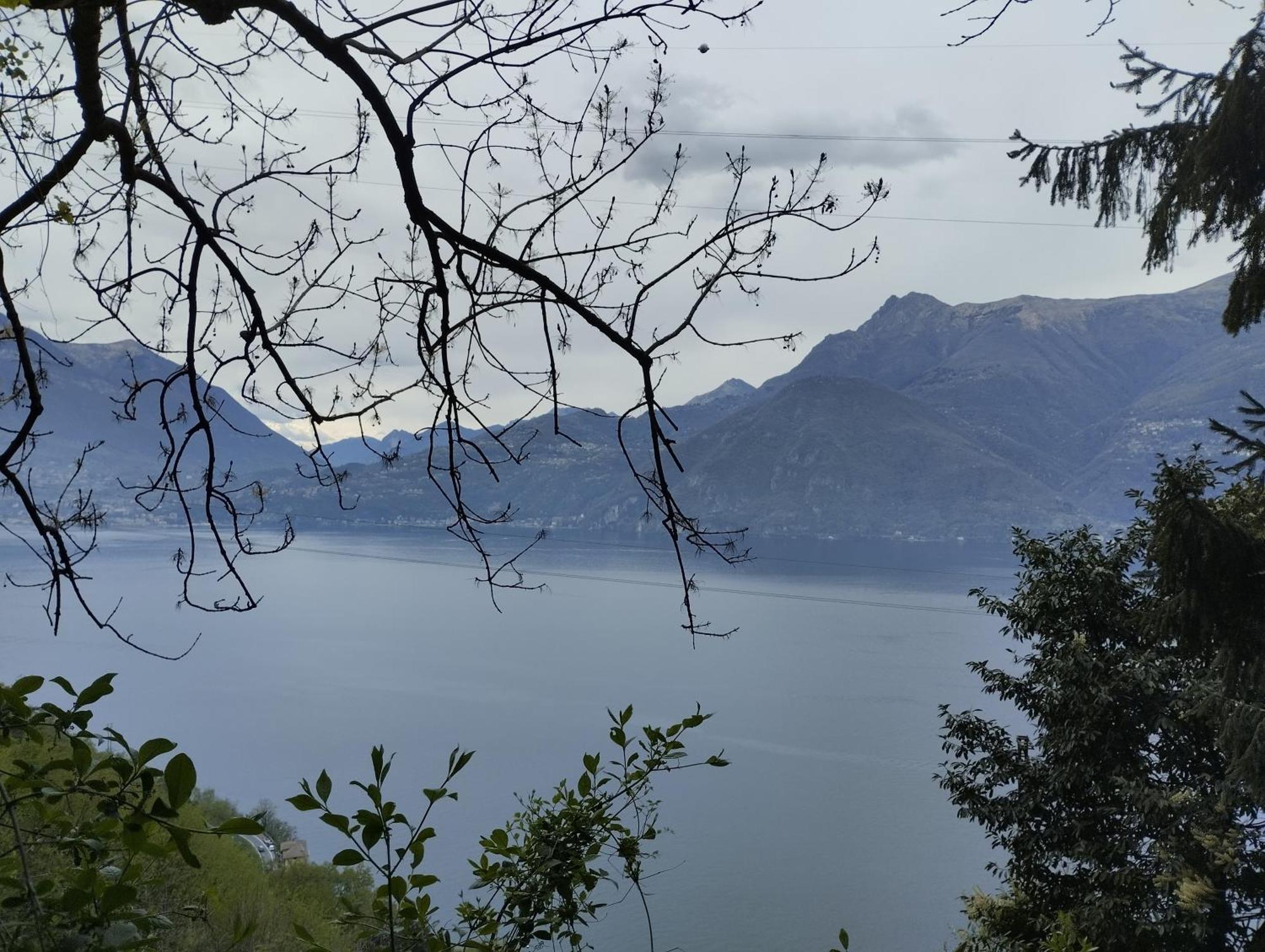 Carlotta House-lt * Bellano