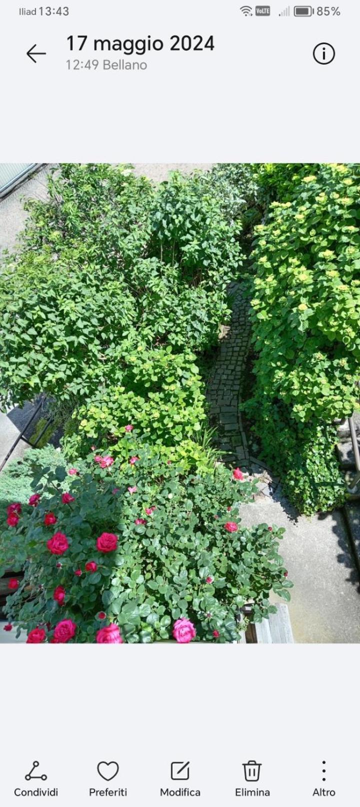 Carlotta House-lt * Bellano