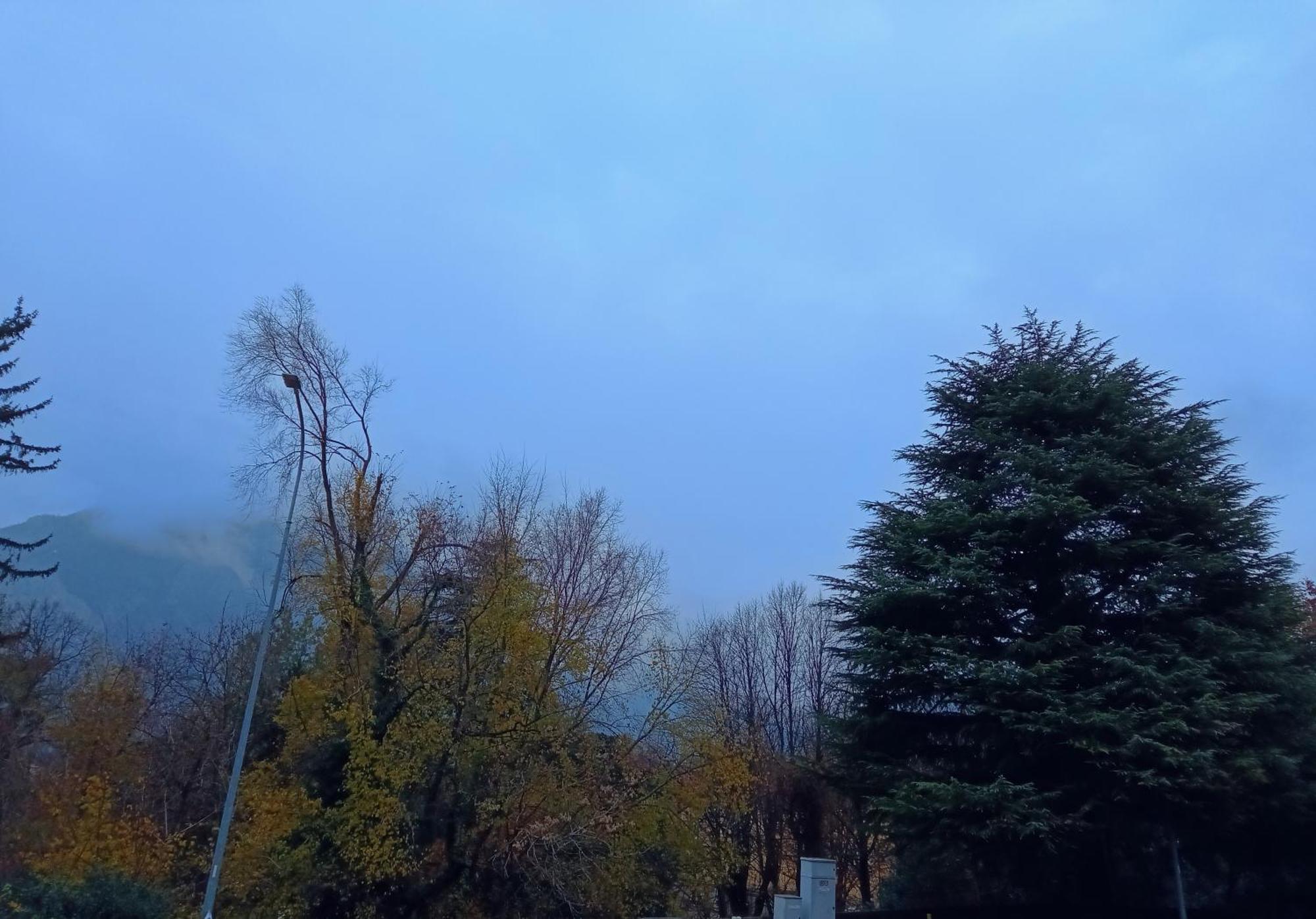 Del Bosco E Del Elimar