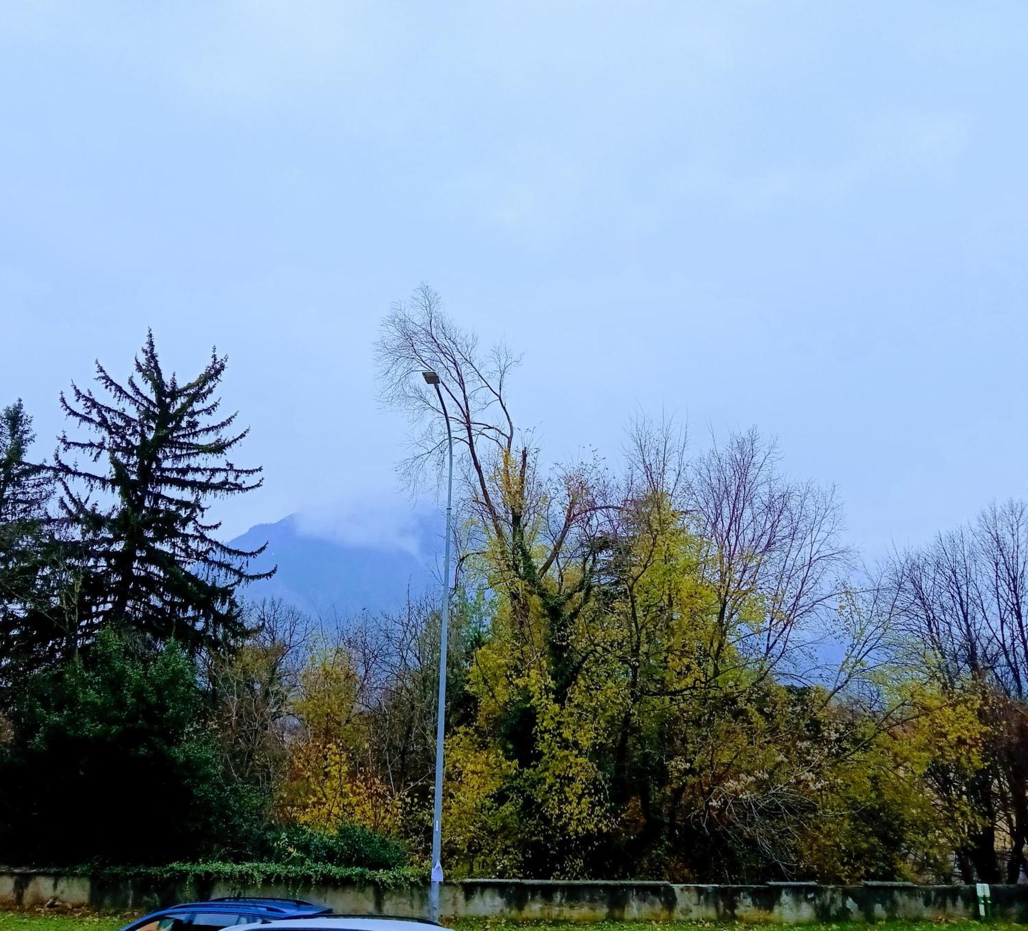 Del Bosco E Del Elimar Bed & Breakfast *