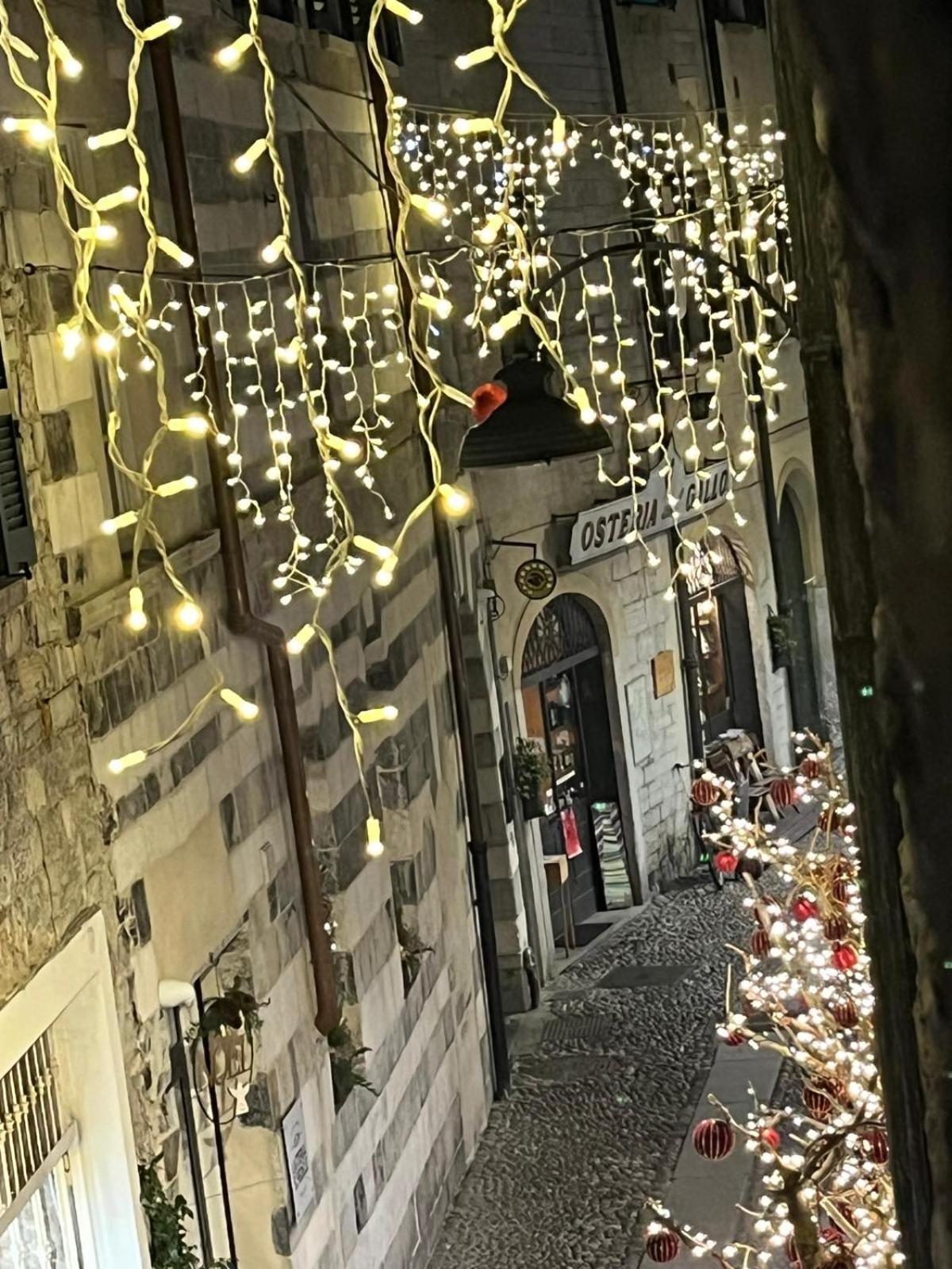 La Dama Finestra In Centro Como