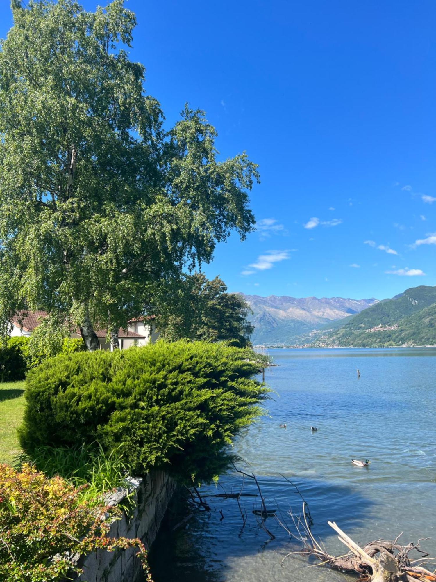 Traumhaftes Direkt Am Ufer Des Comer Sees
