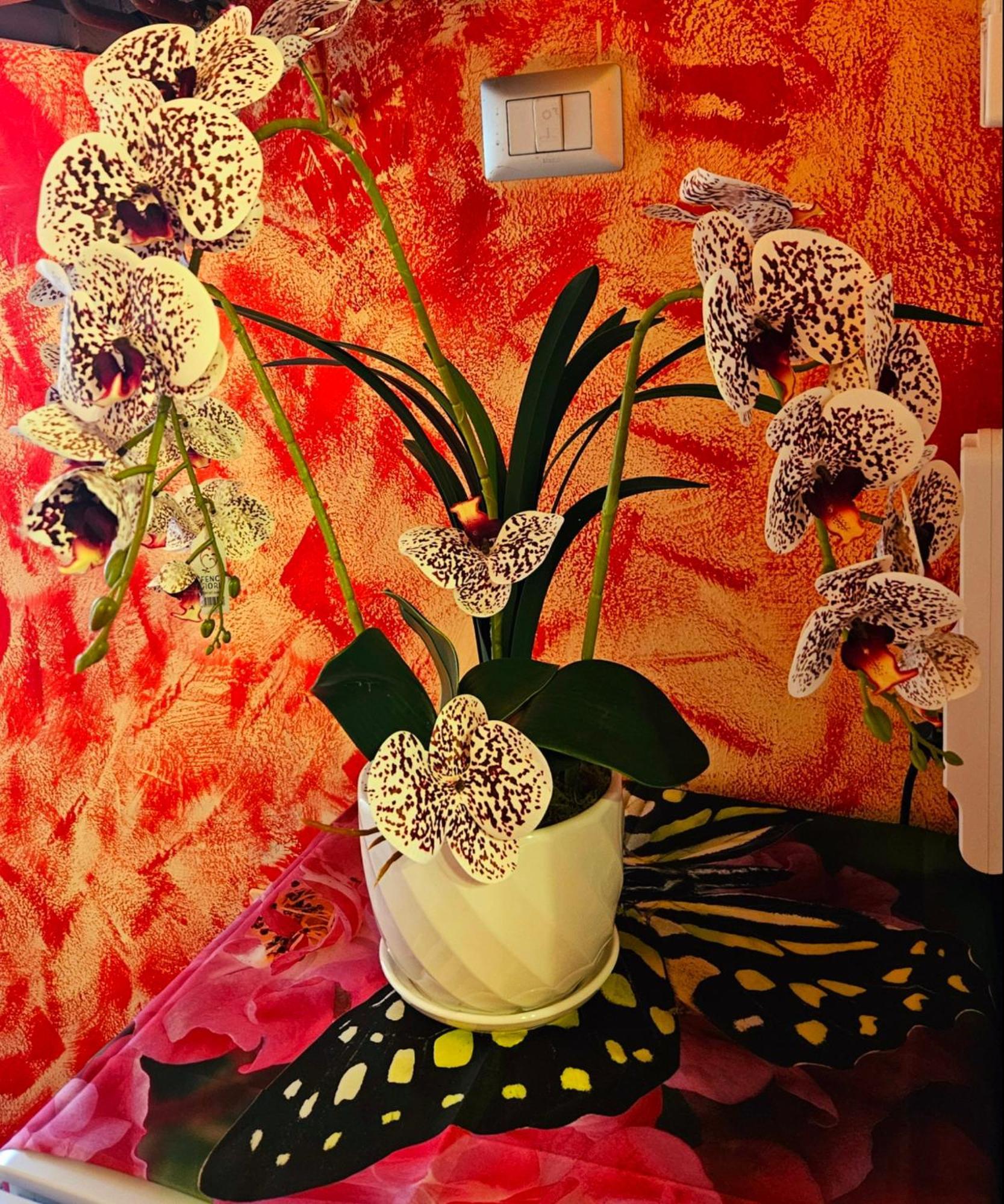 La Corte Dei Fiori *