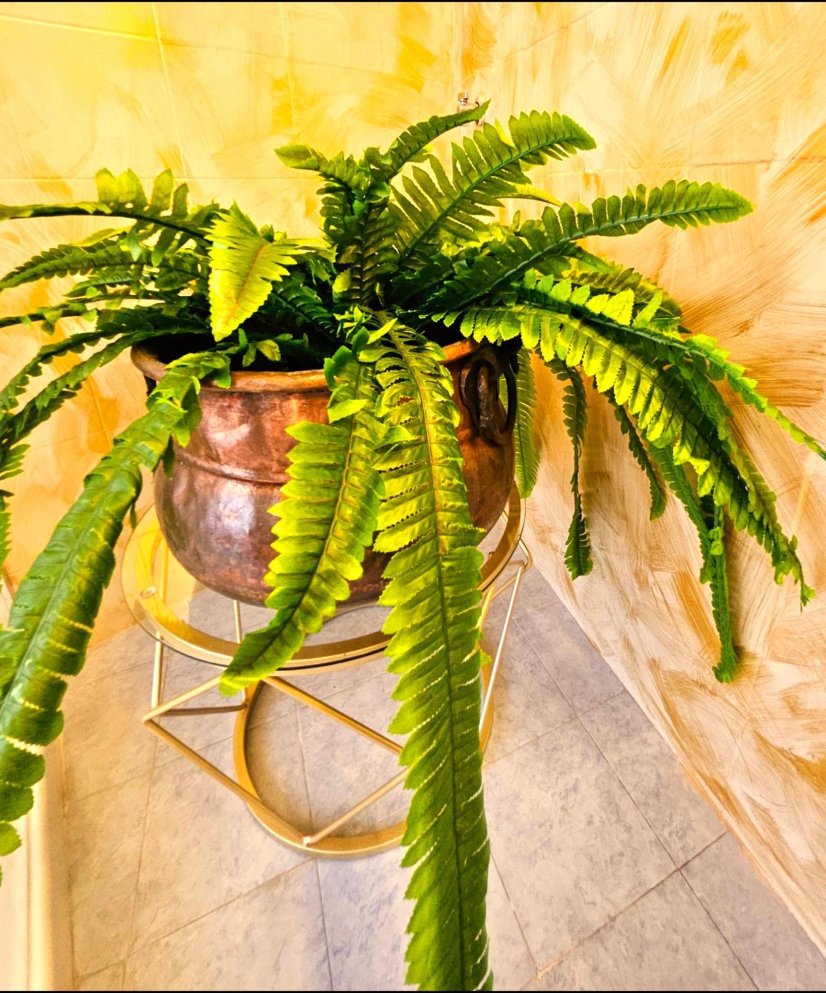 La Corte Dei Fiori Bed & Breakfast *