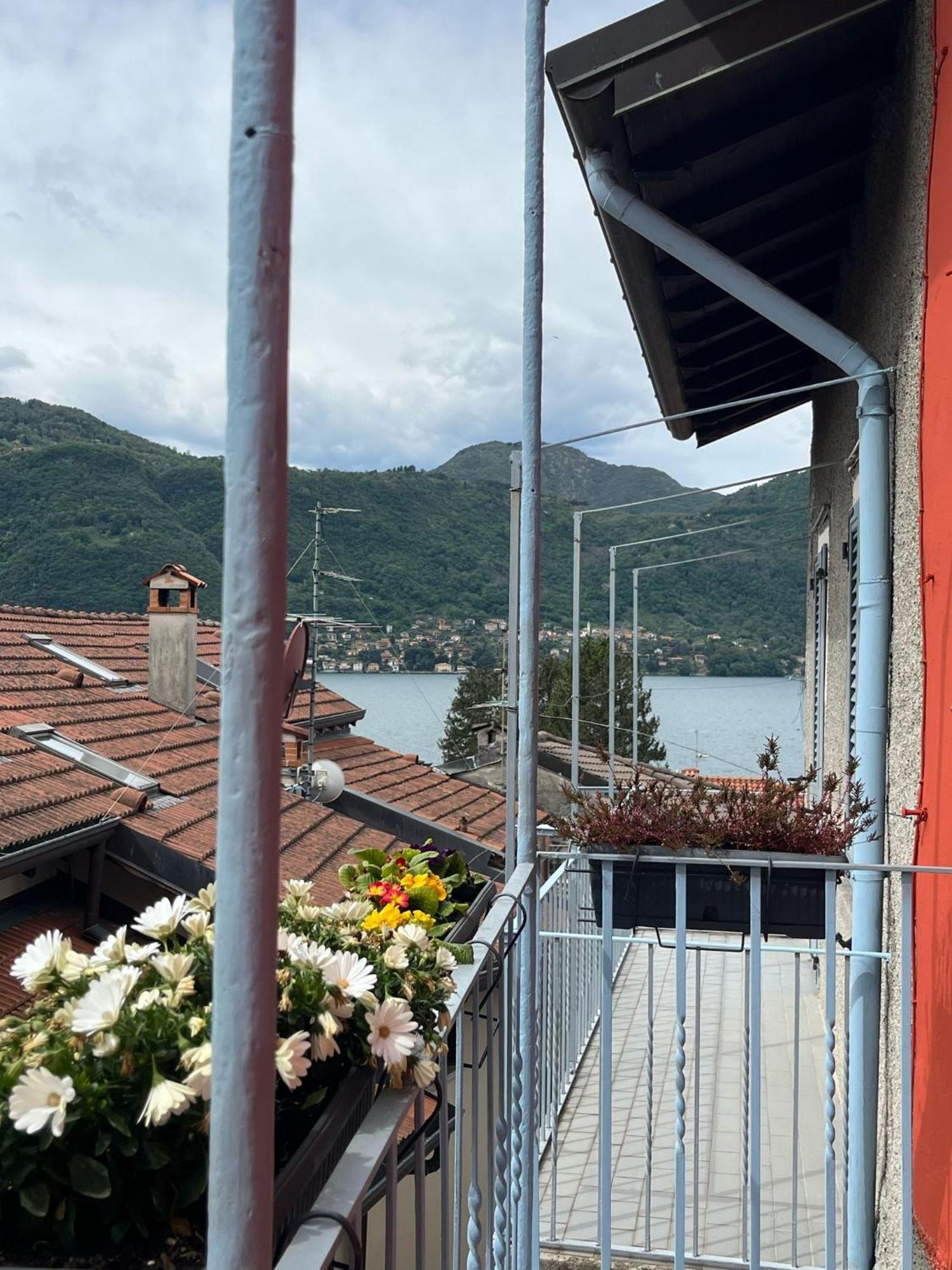 Bed & Breakfast Il Gatto E La Volpe Foresteria Lombarda *