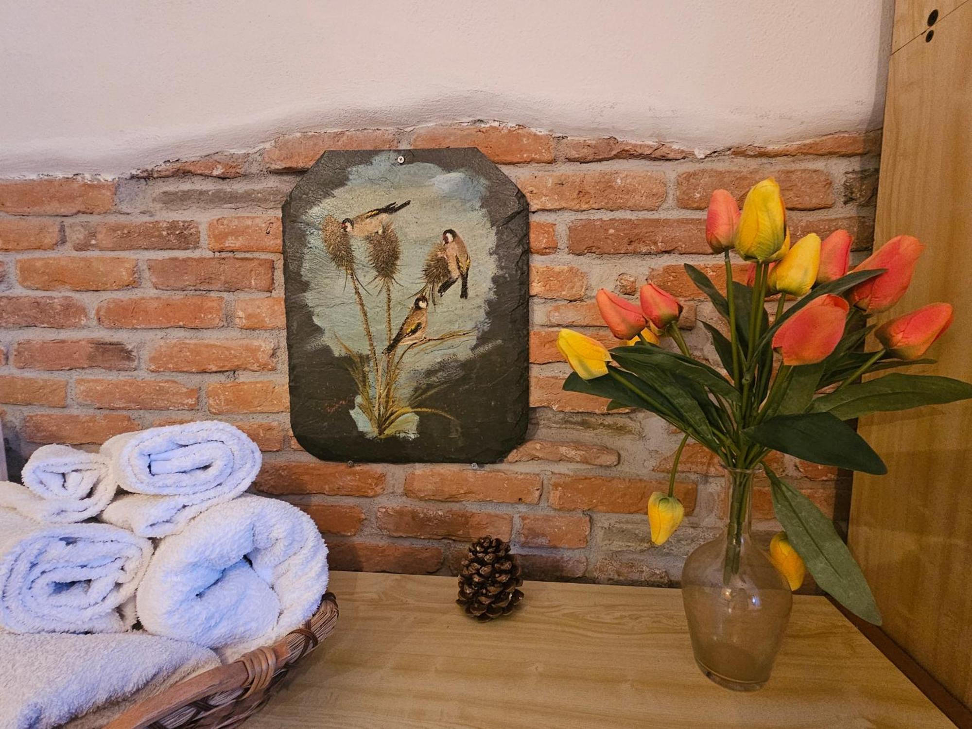 Apartment Ground Floor- Pet Friendly Stay-private Garden-parking-lake View - Bike Friendly House Colico