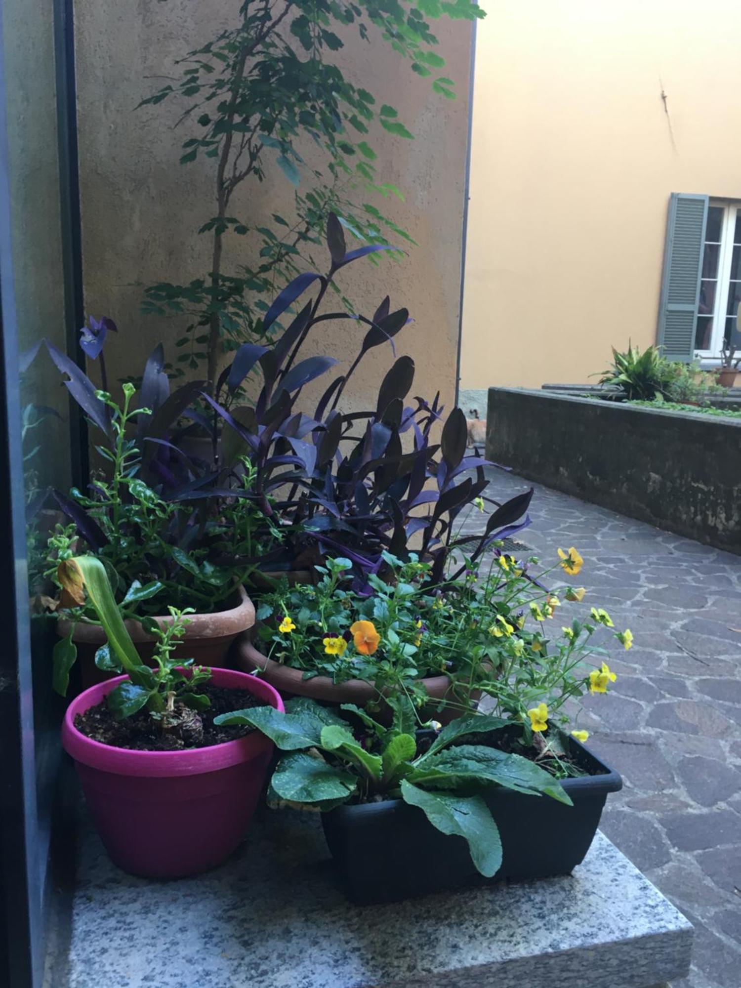 La Casa Nel Chiostro Tra E Monti * Lecco