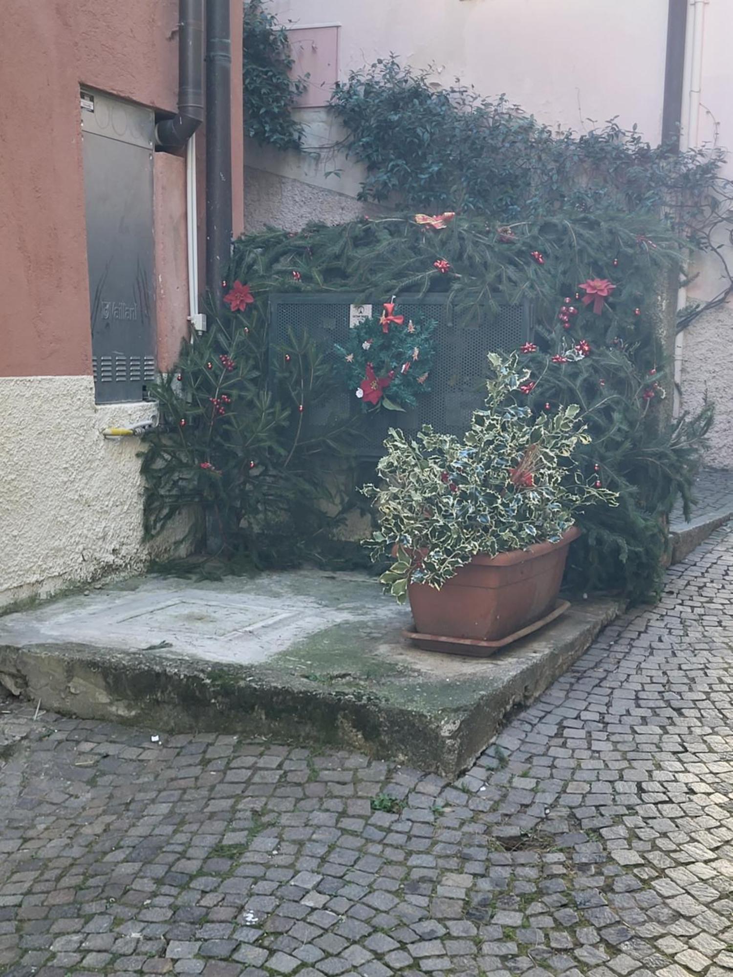 Apartment Ca' Vegia *