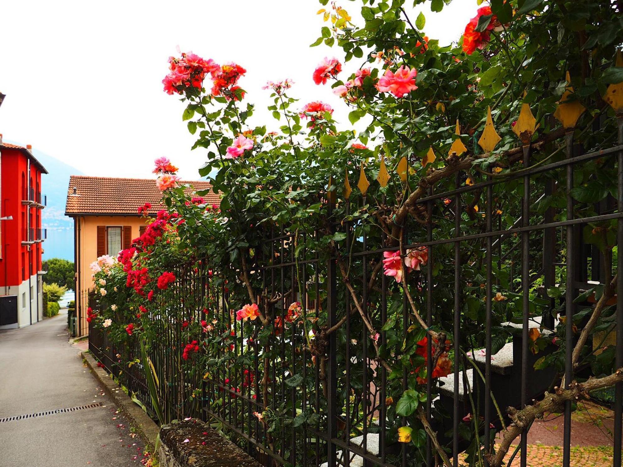 Apartment Le Quattro Stagioni