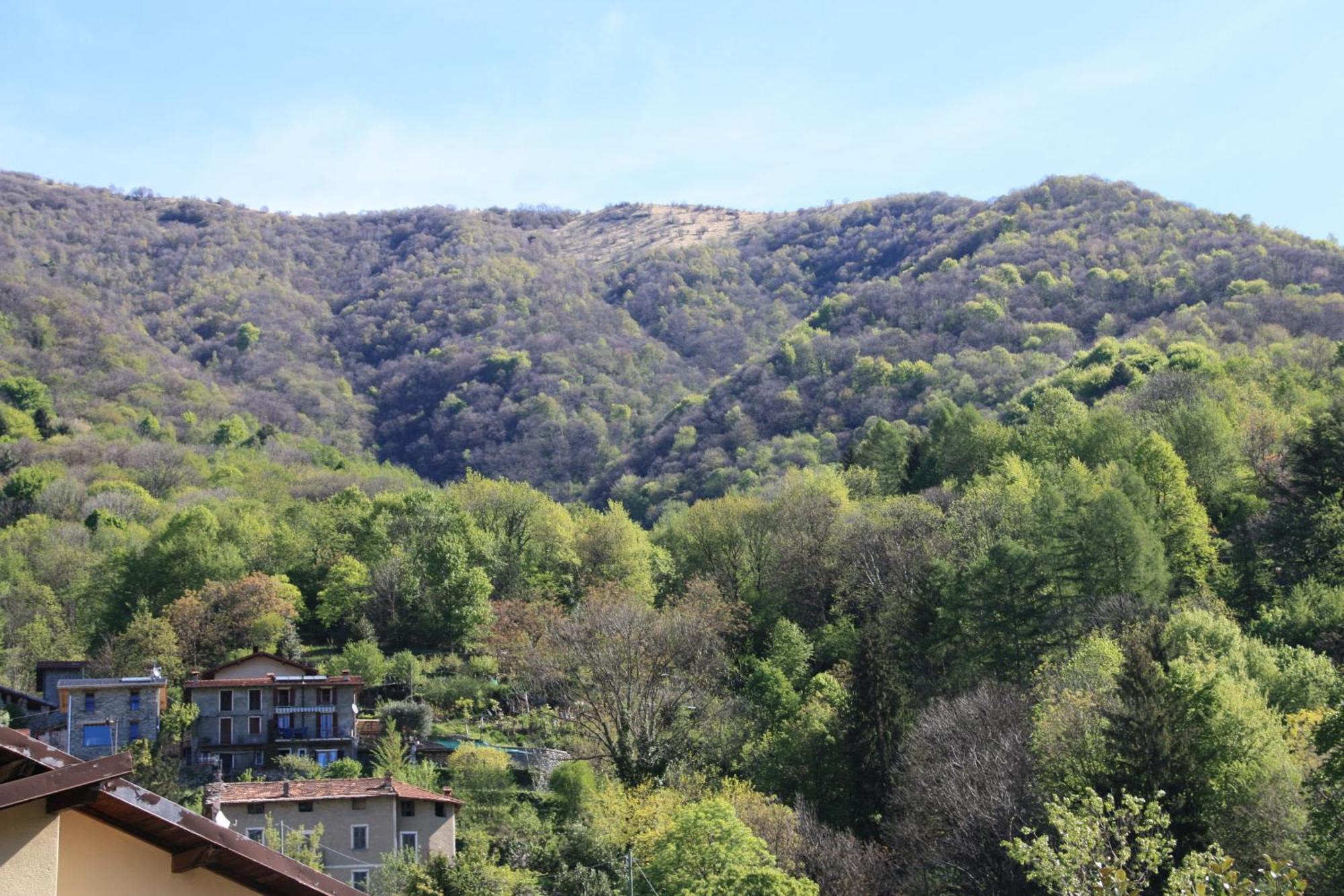 Le Magnolie Faggeto Lario