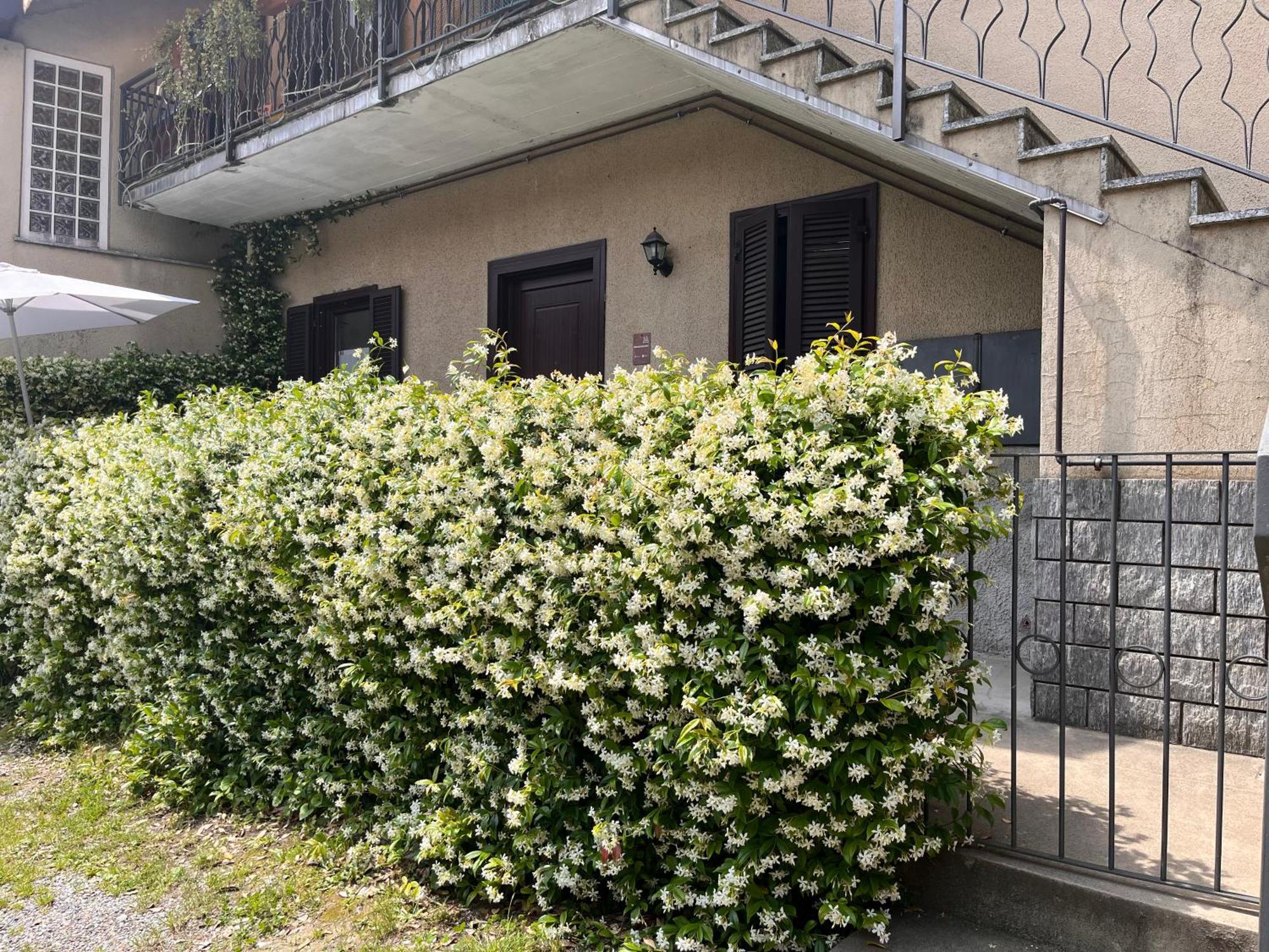 Single Il Cortile Da Manu Maggy&hope Bed & Breakfast