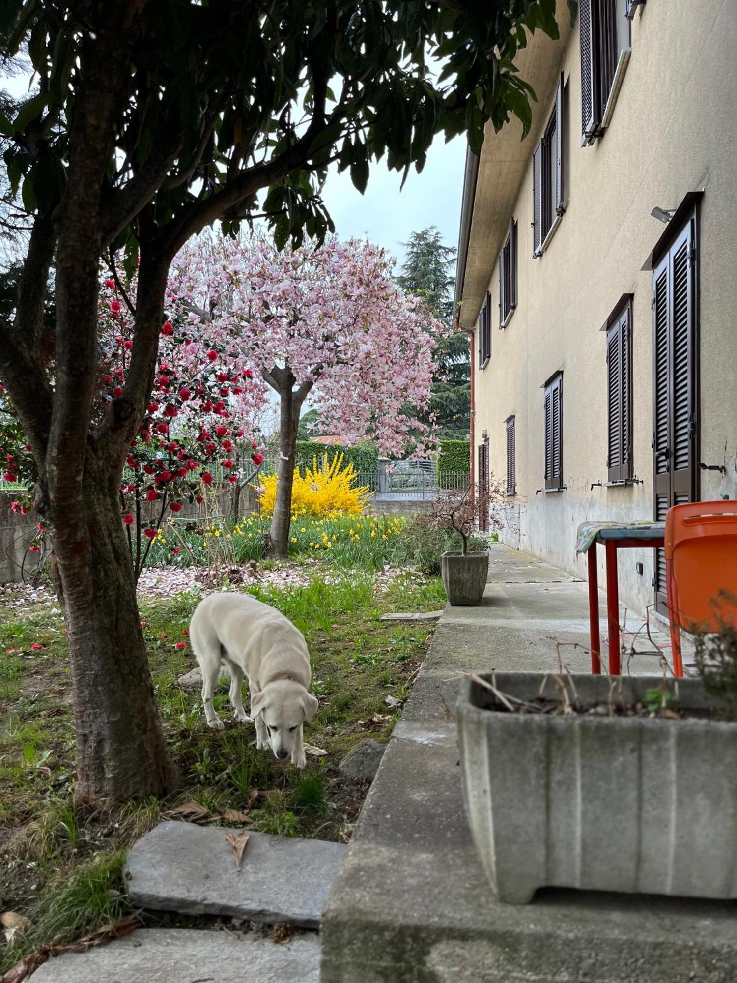 Bed & Breakfast Single Il Cortile Da Manu Maggy&hope