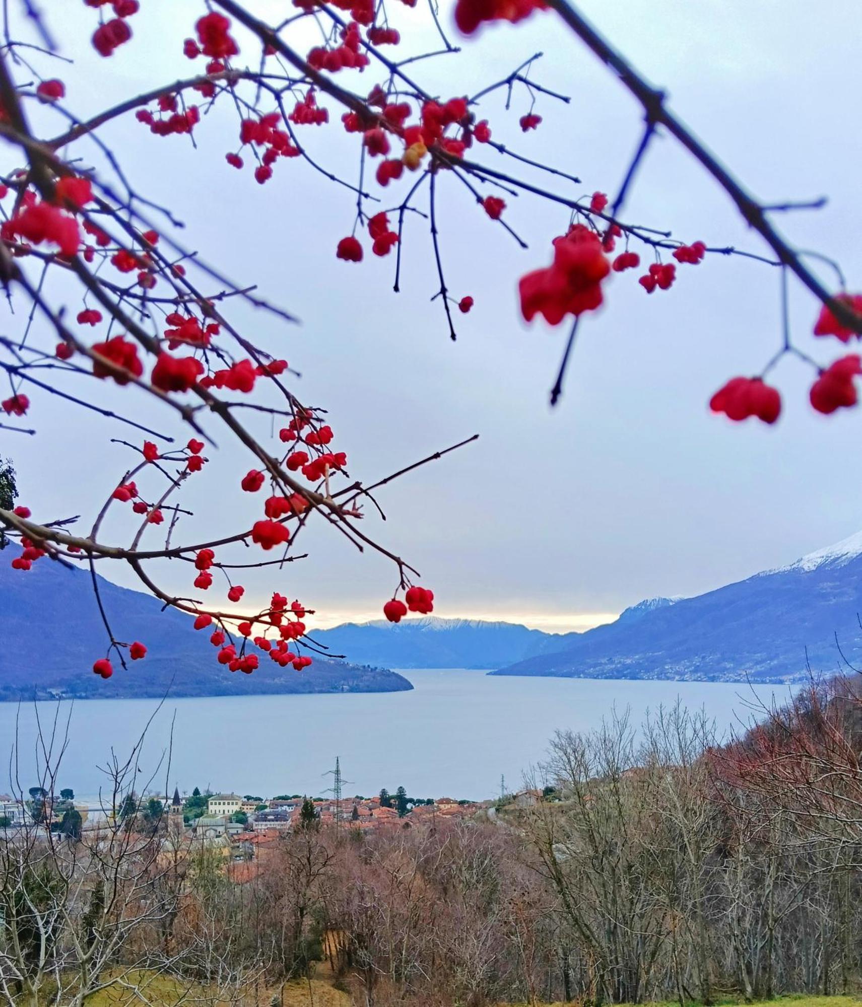 Apartment Borgo Vignola Cremia