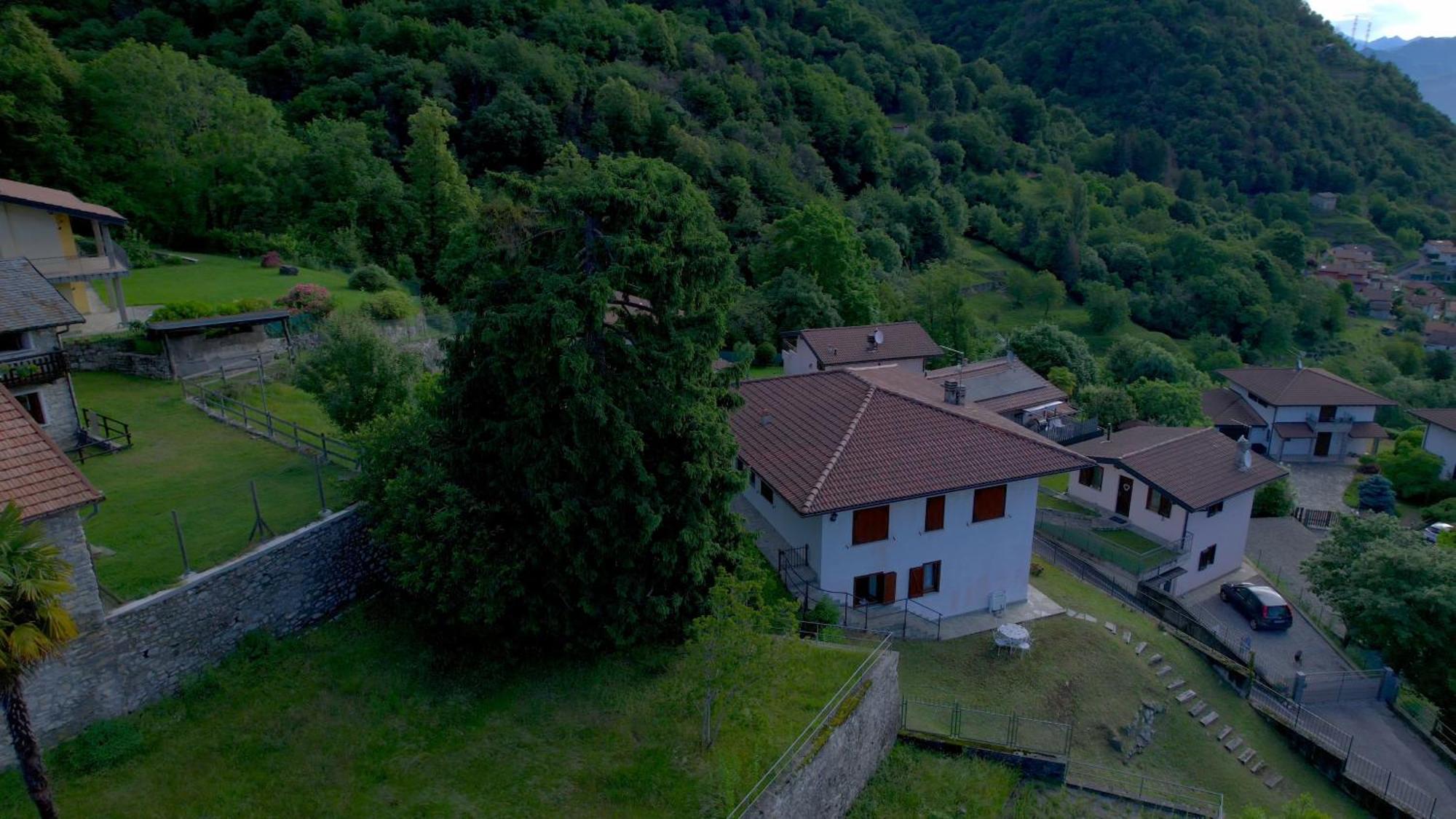 Apartment Gio Gio House - *