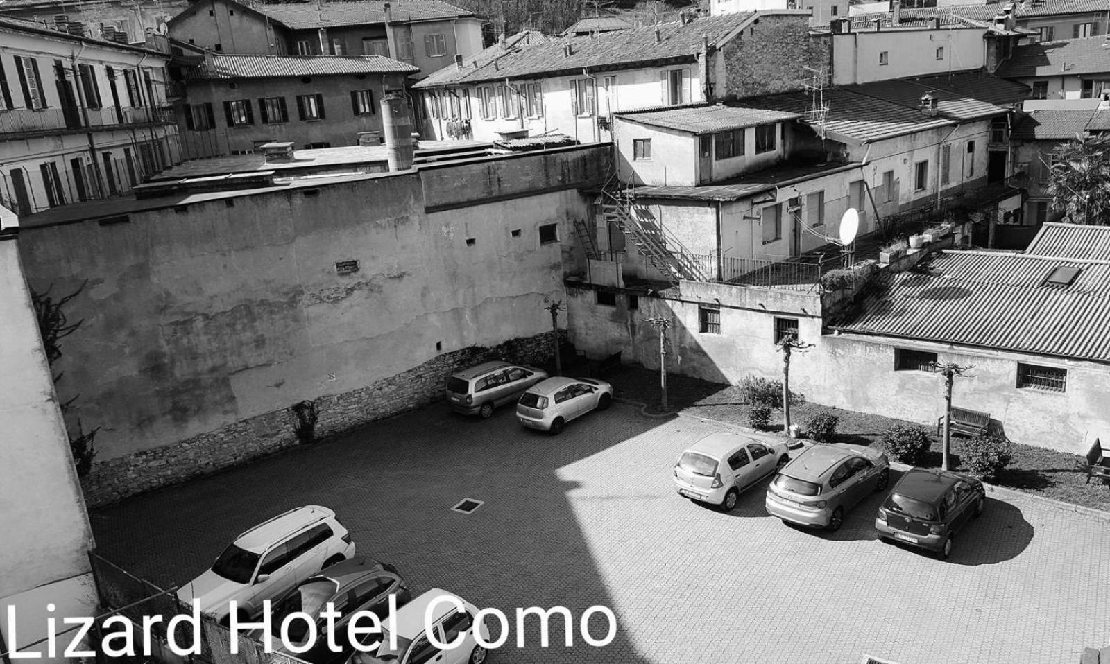 Lizard Como