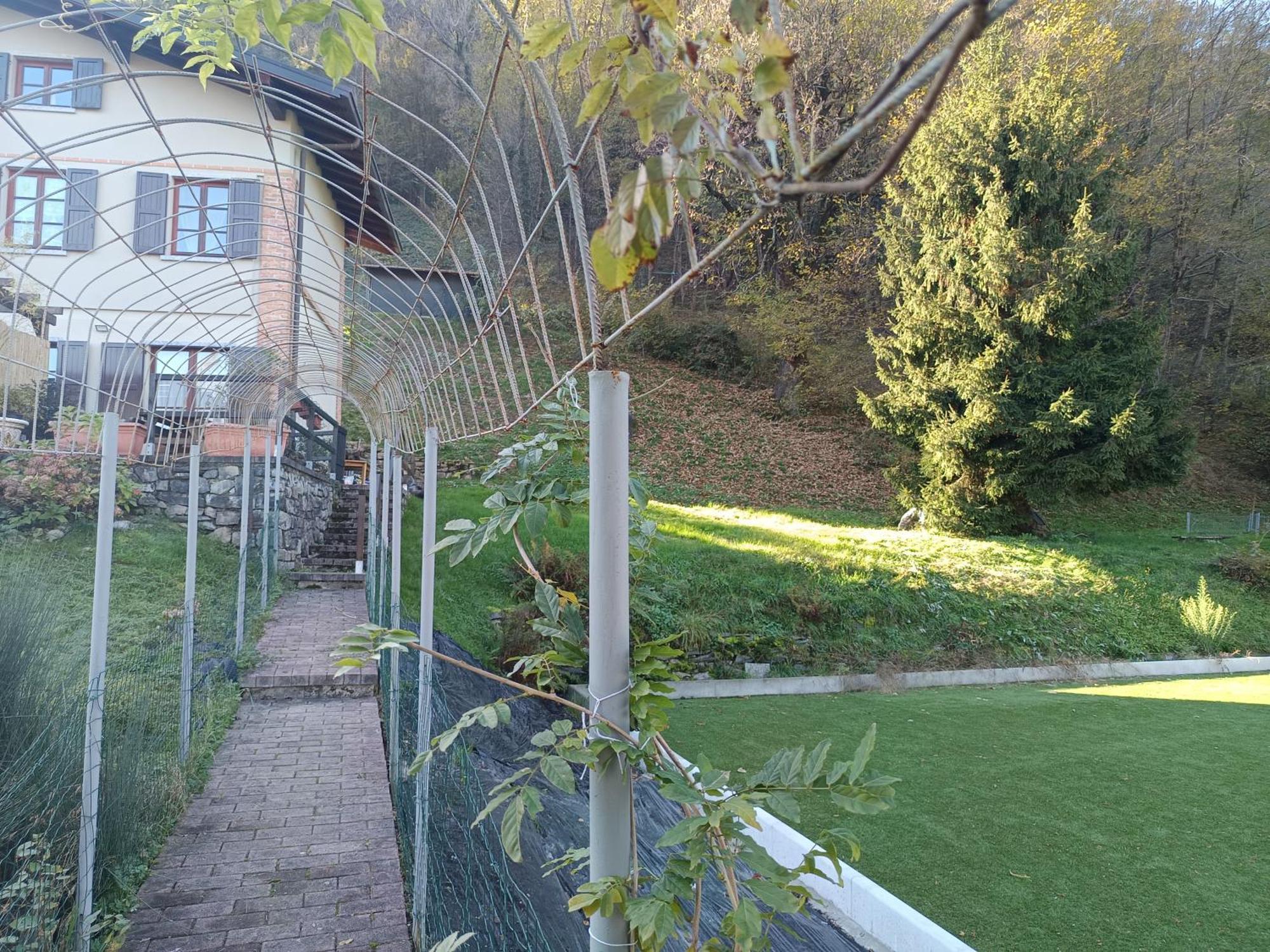 La Casa Di Alice Holiday home Valbrona