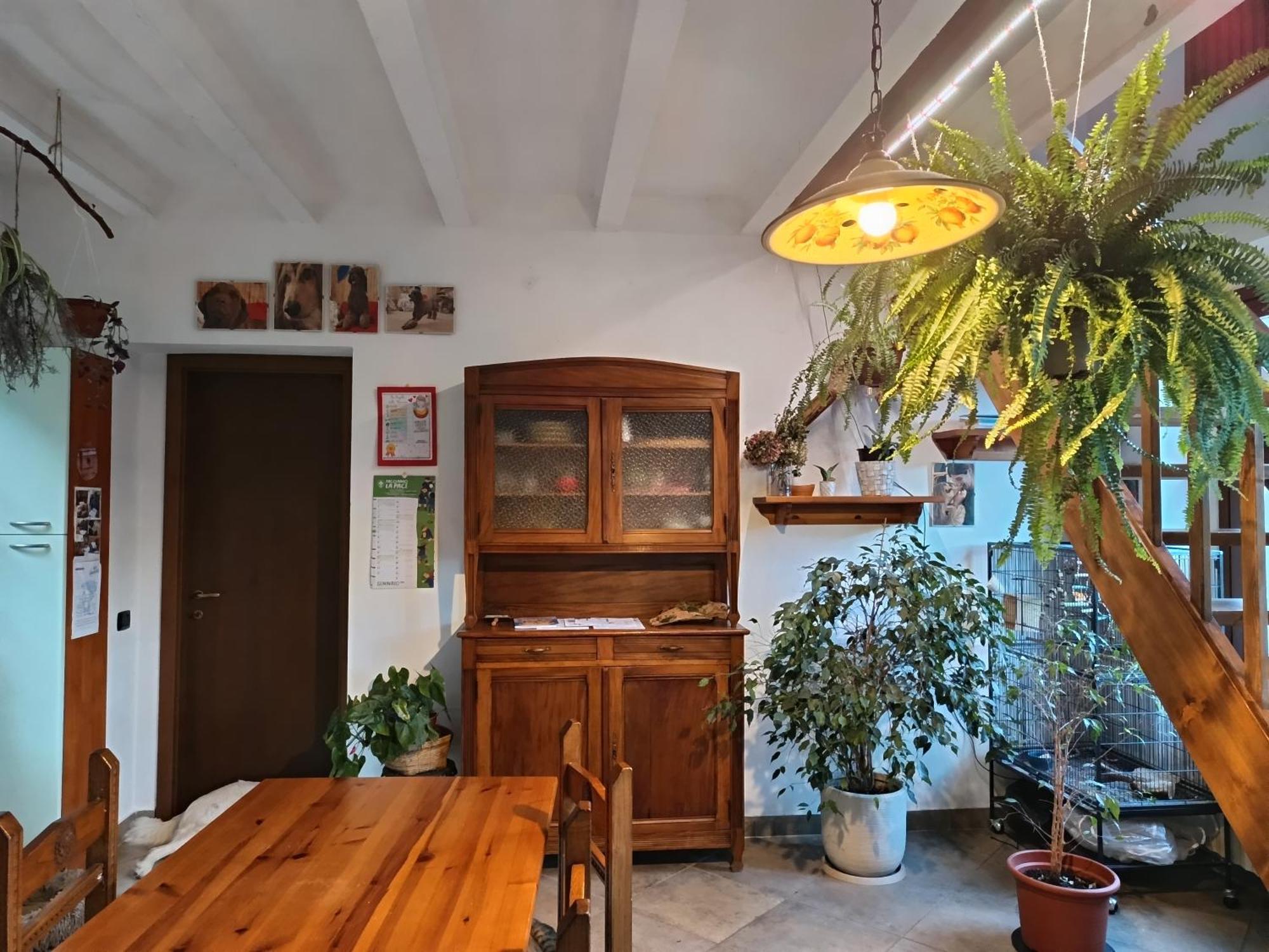 La Casa Di Alice Valbrona