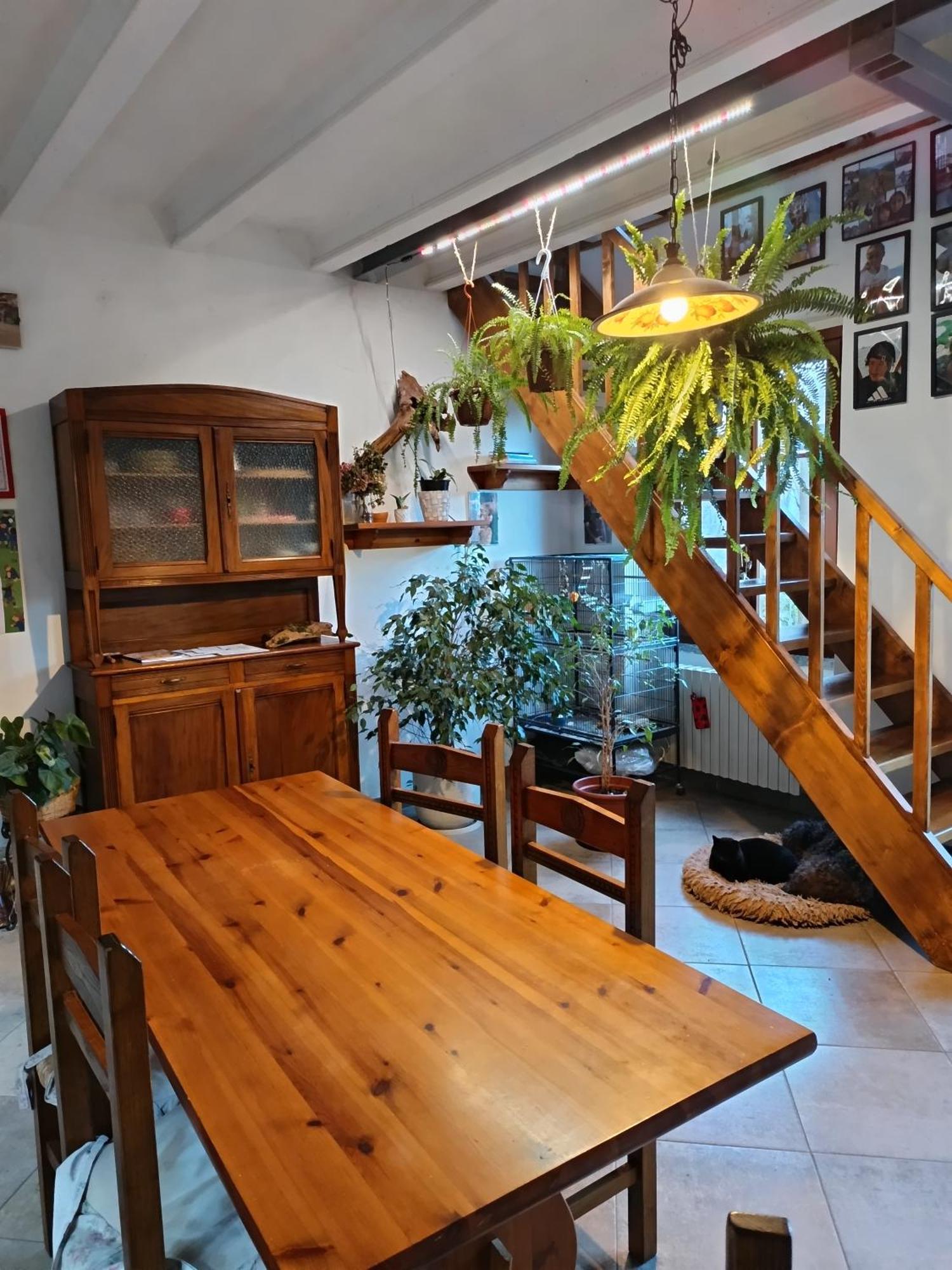 La Casa Di Alice *