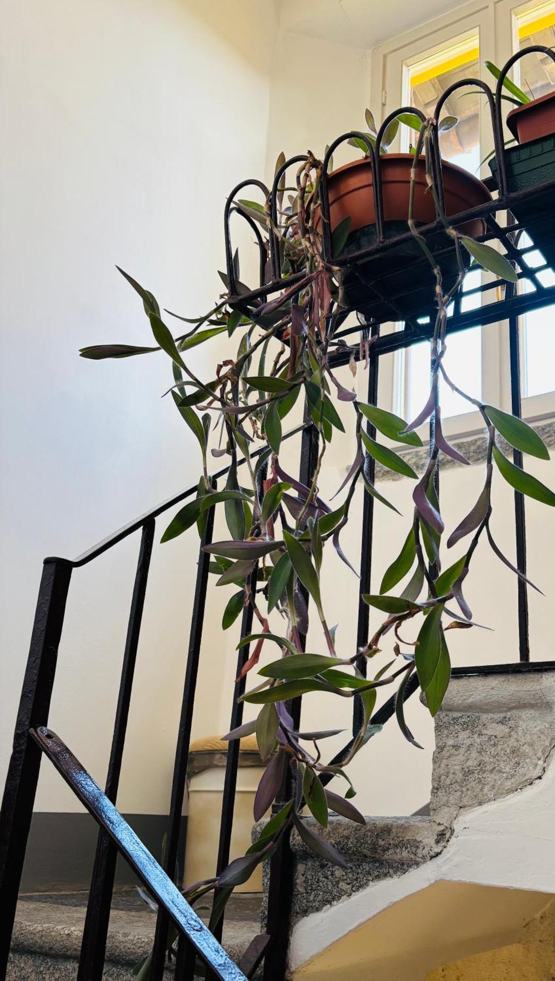 Casa Amata Apartment *