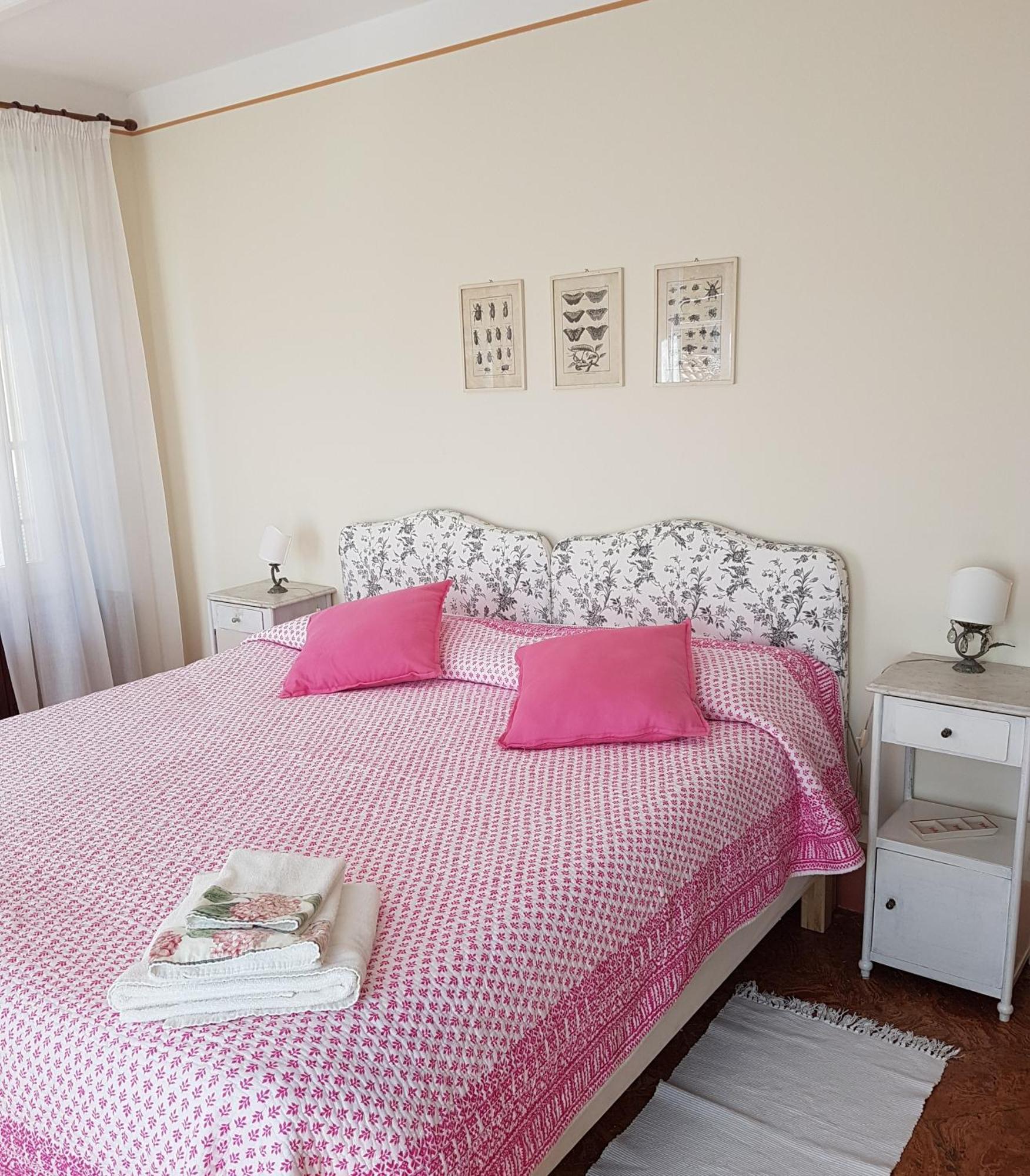 Corti Lakeview *