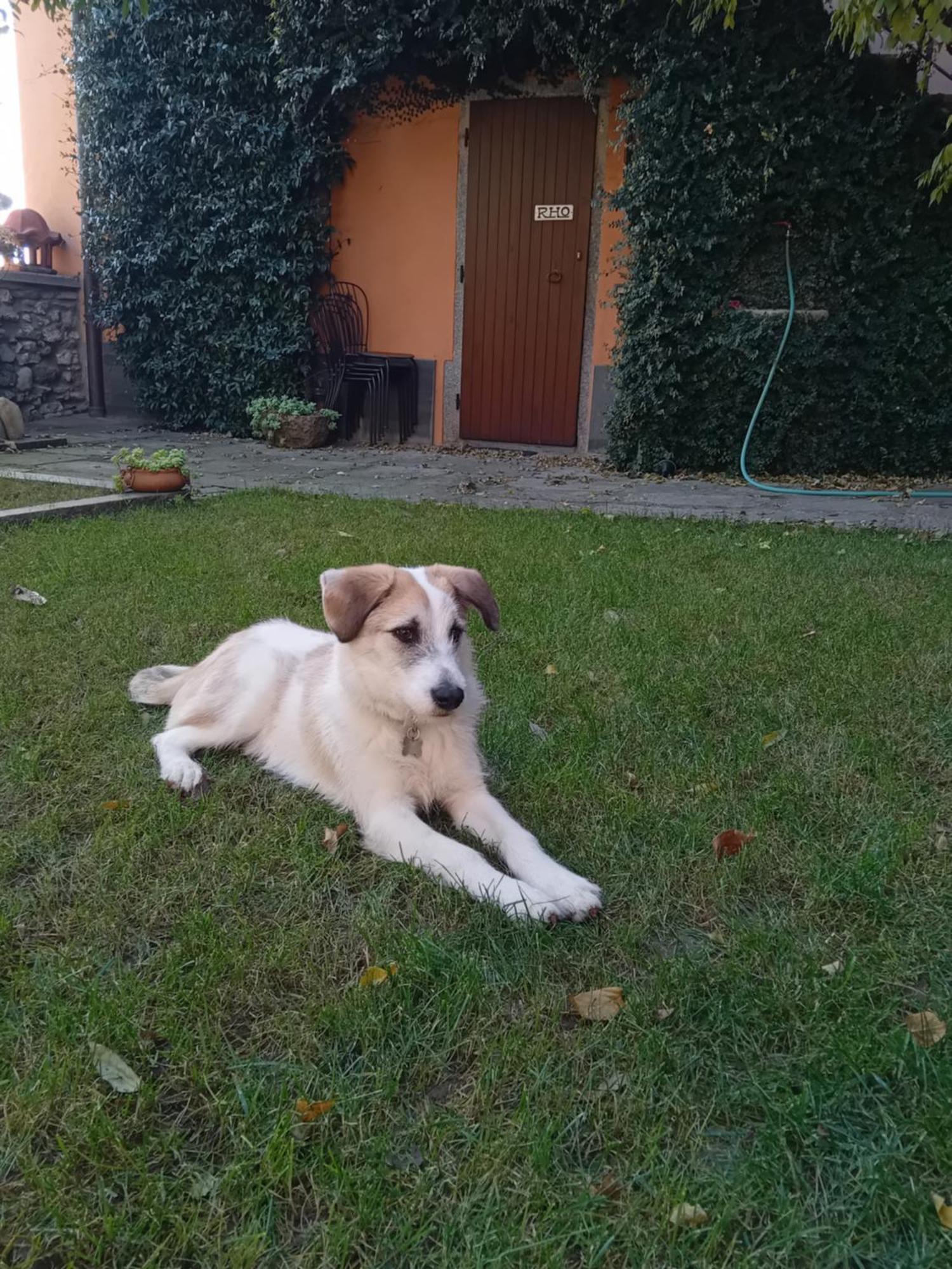 La Corte Dei Rho Holiday home *