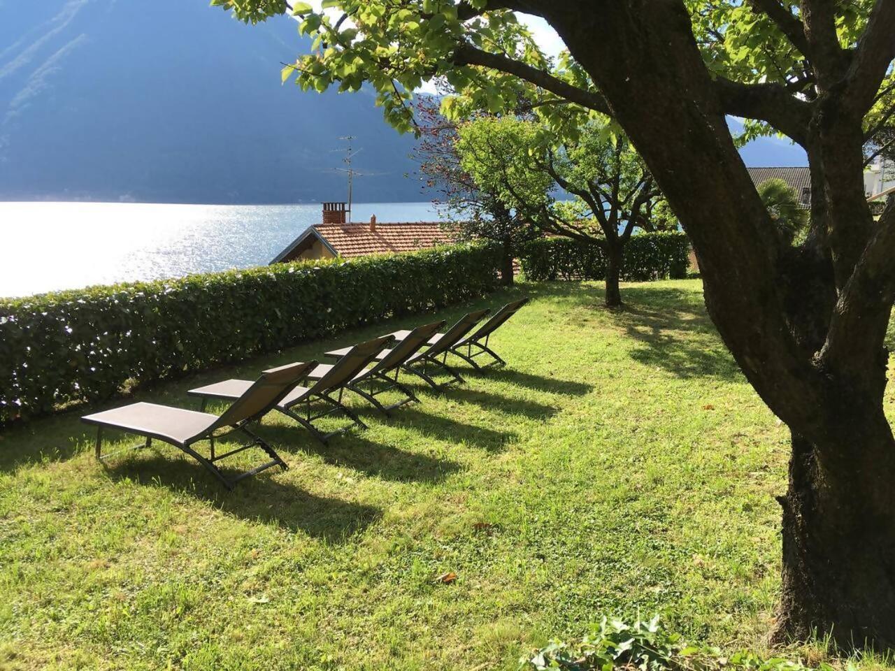 Peroni Honeymoon