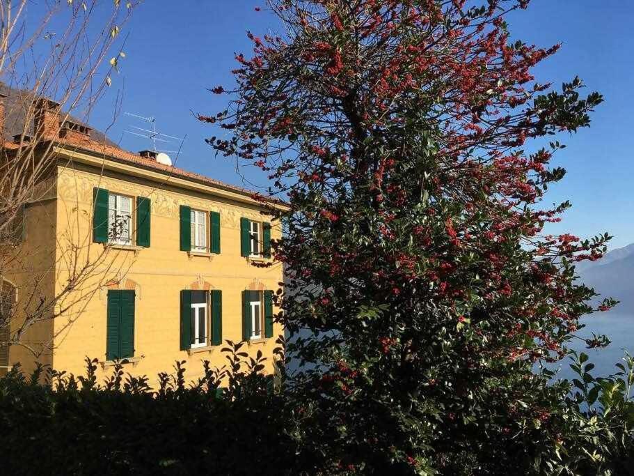 Peroni Vintage Apartment *