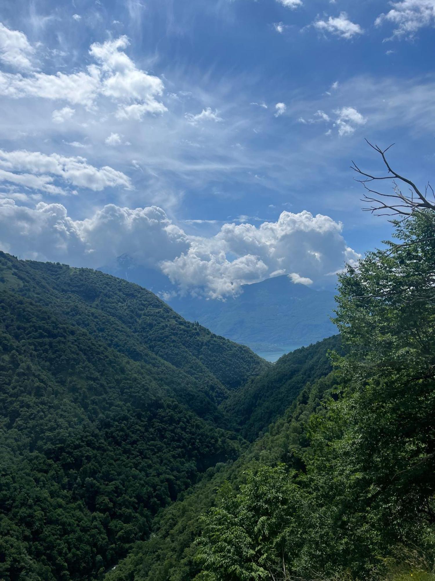 Nymphs Of Como, House Of Harmony - View Dongo