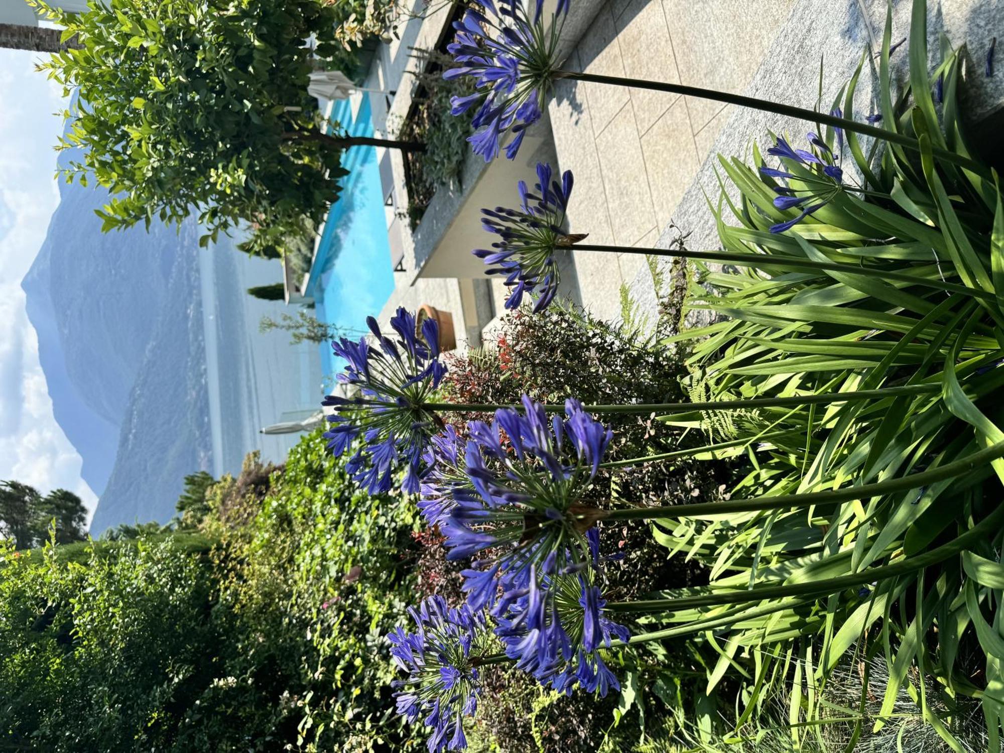 Koi Terrazza Sul *