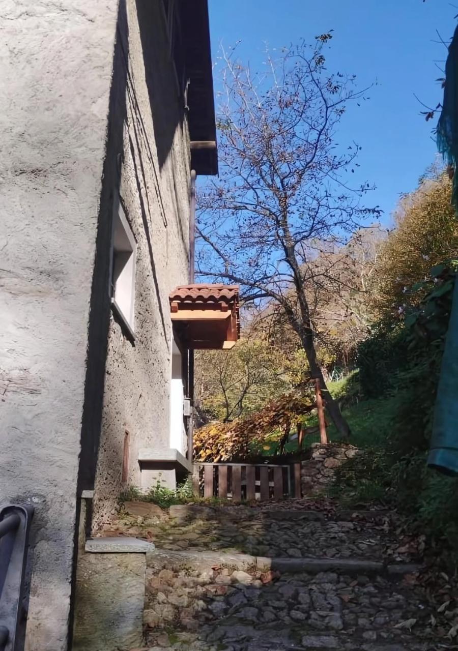 Alpaca's House: Green, Animals & View Appartamento Bellano