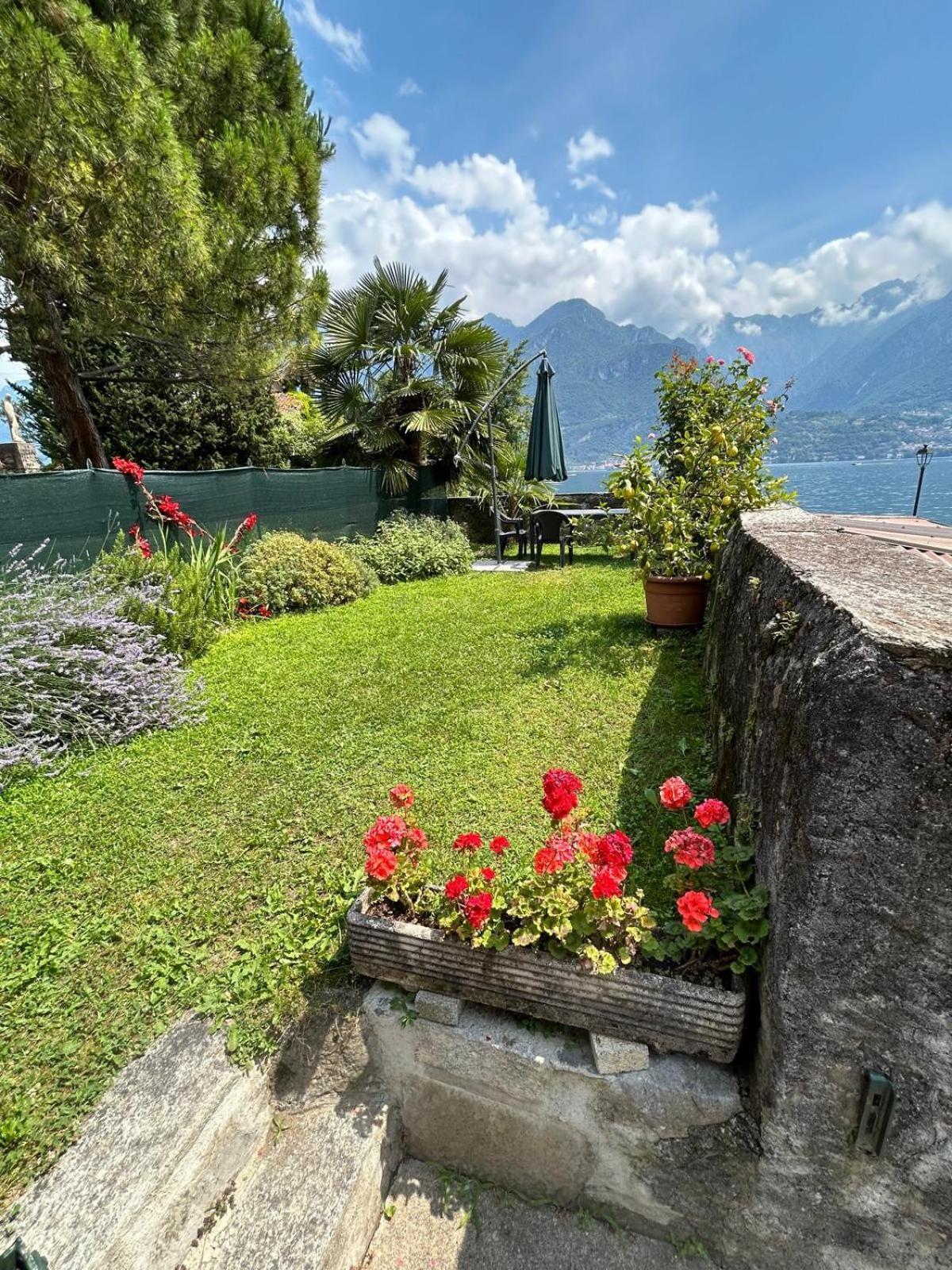 Domus Graziana - Front Oliveto Lario