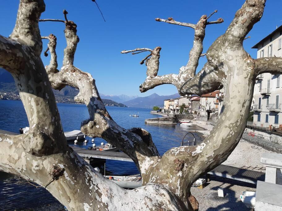 Gaudi - Overlooking Como, Near Bellagio Apartment