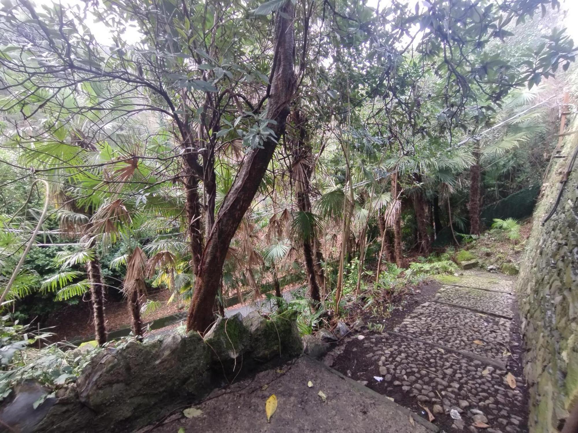 The Garden House *