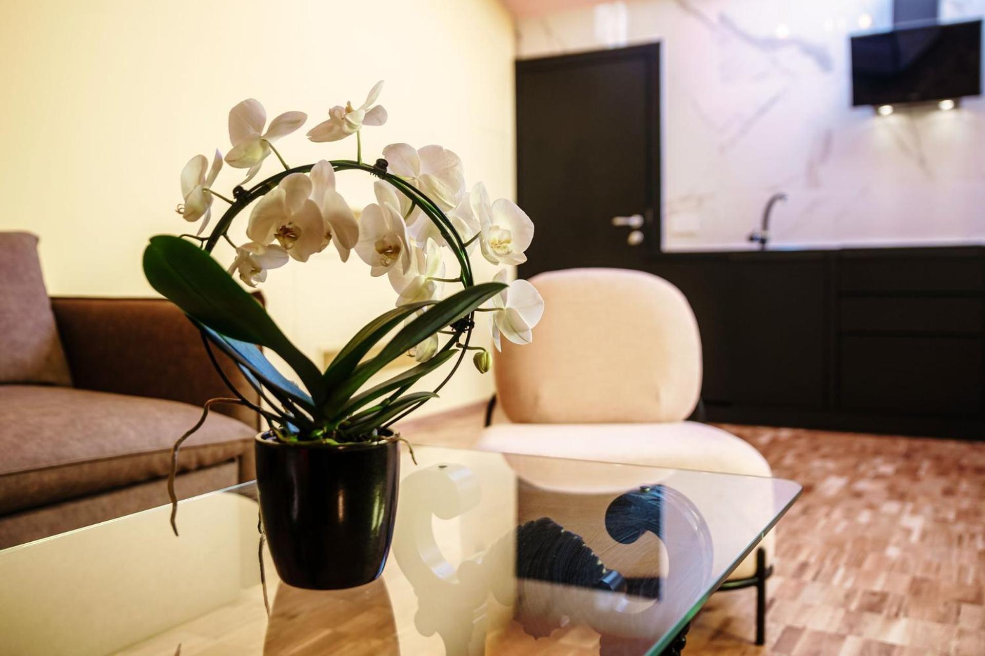 Aurum - Luxury Guest house