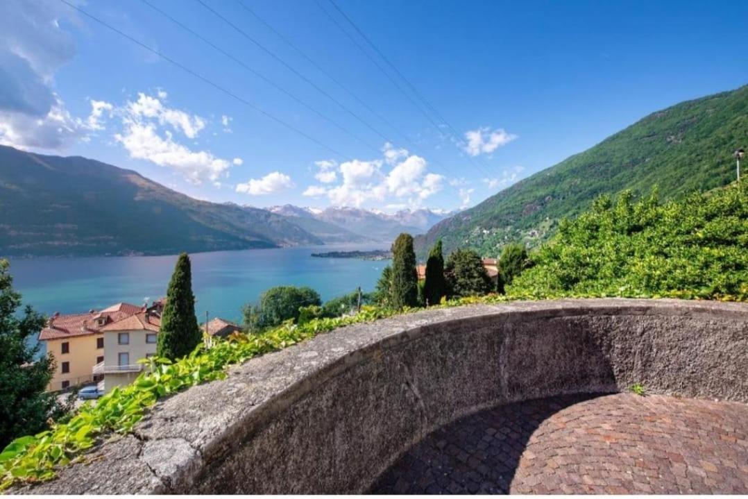 Castagno 1 Sentiero Del Viandante Bellano