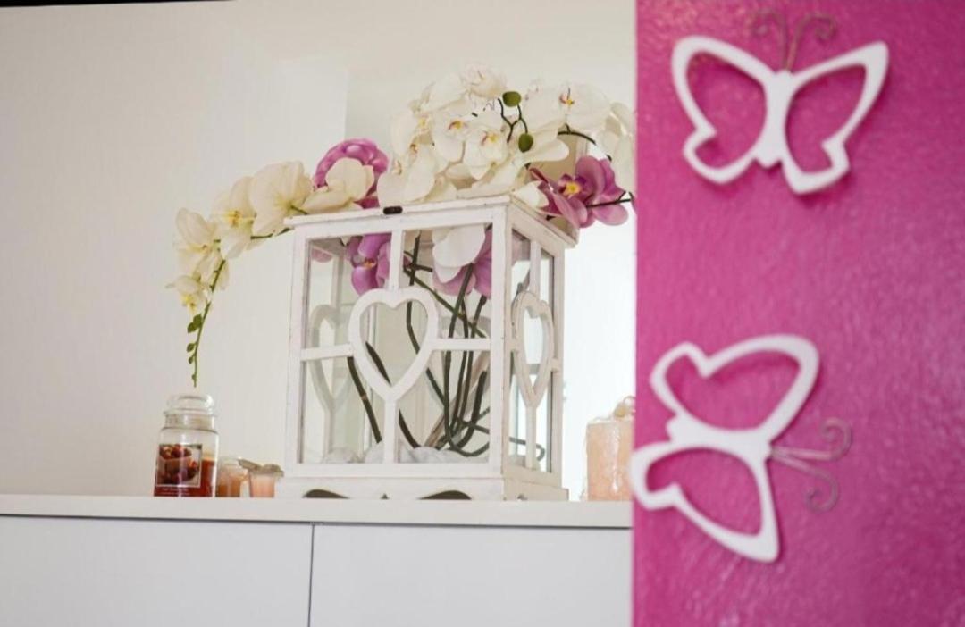 Apartment Butterfly *