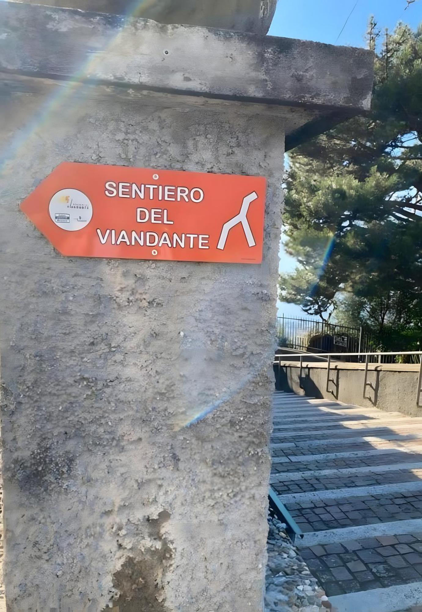 Castagno 1 Sentiero Del Viandante Bellano