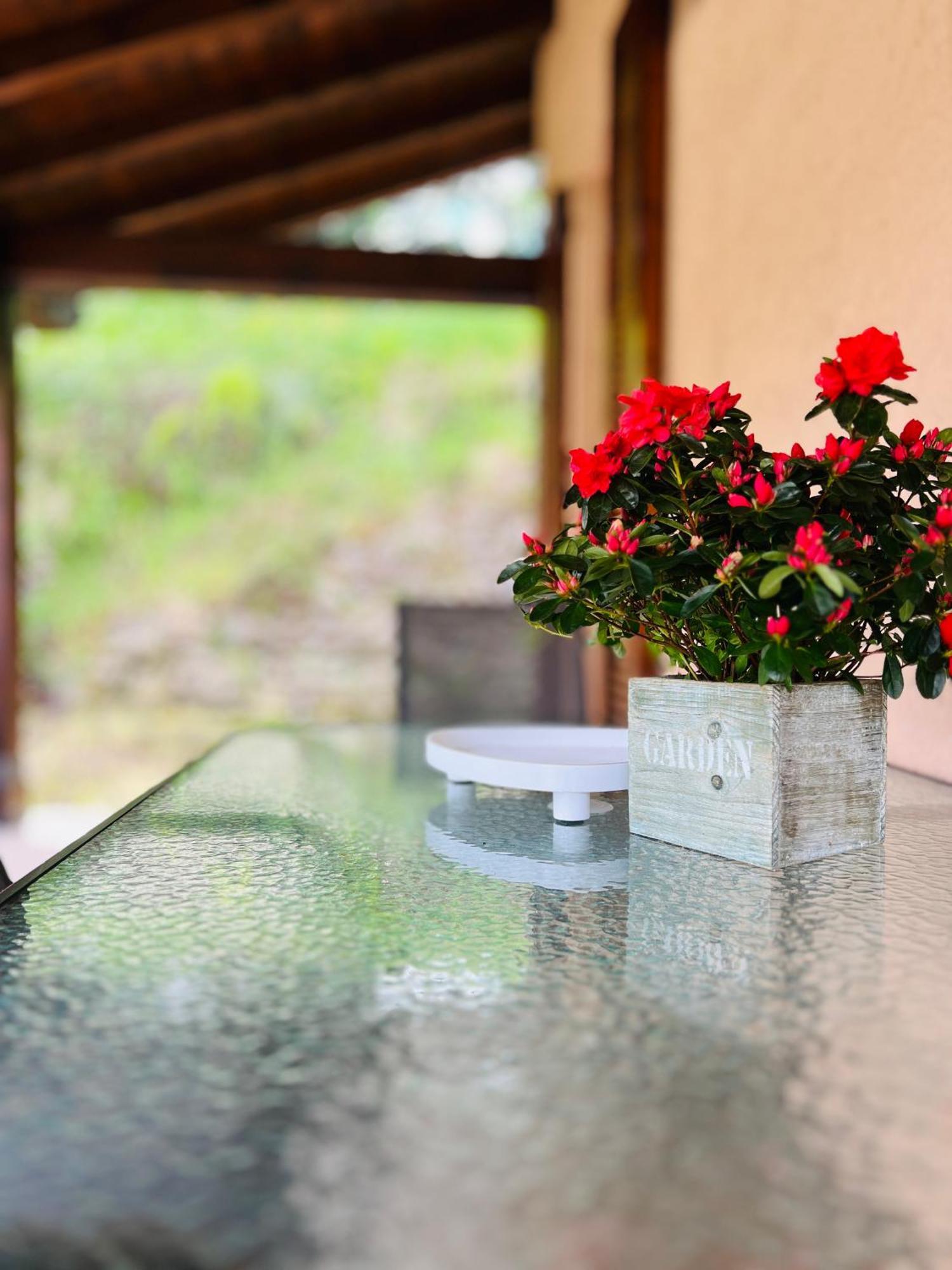 Holiday home L'acero Rosso By Zitro Menaggio