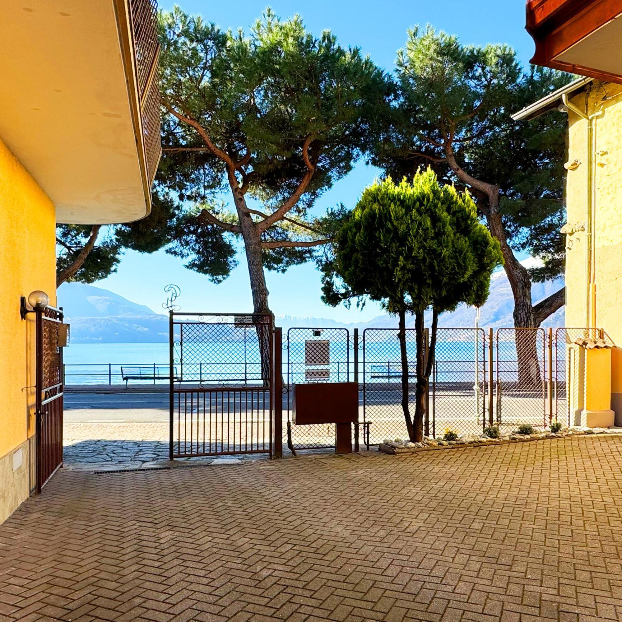 Apartment Vista - Collection *