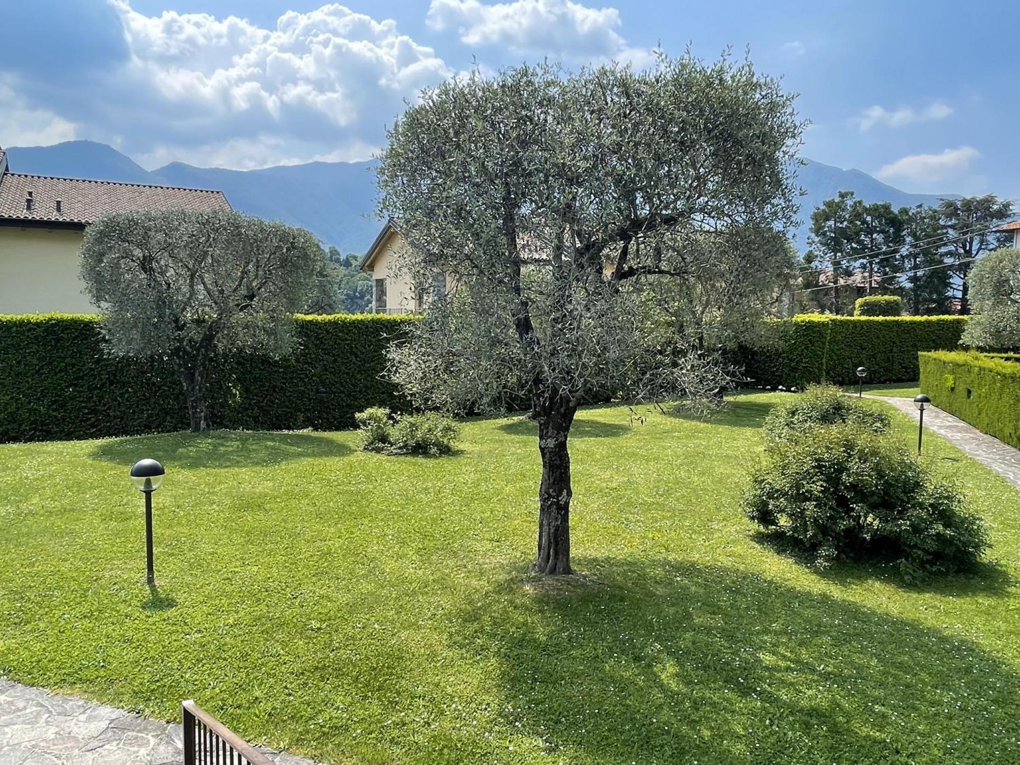 Alba Sul Apartment
