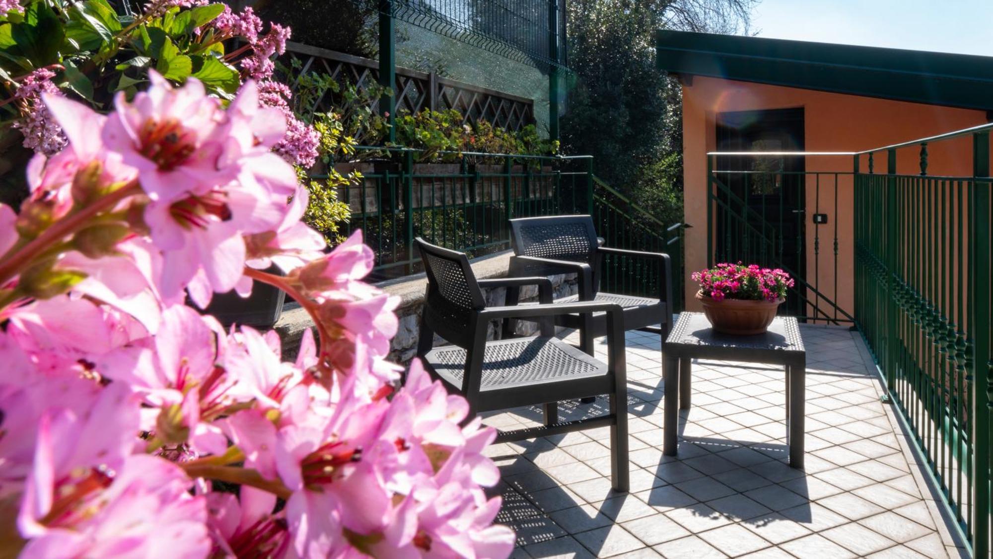 Apartment Ondina Nesso