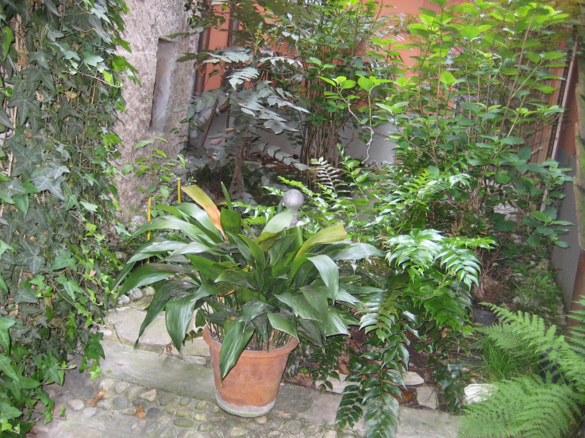 Appartamento Relais Ai Campi Bellagio
