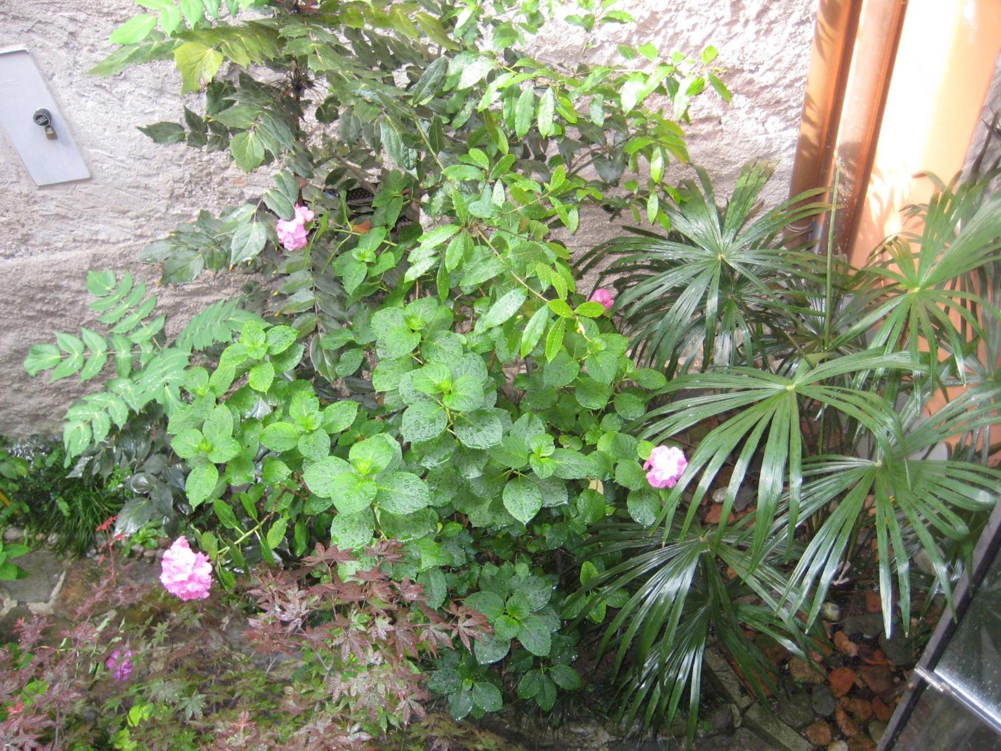 Relais Ai Campi Appartamento