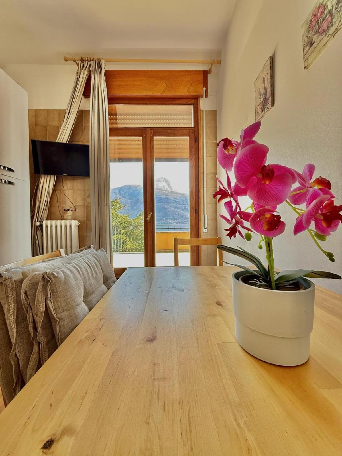 Apartment Breva Cremia