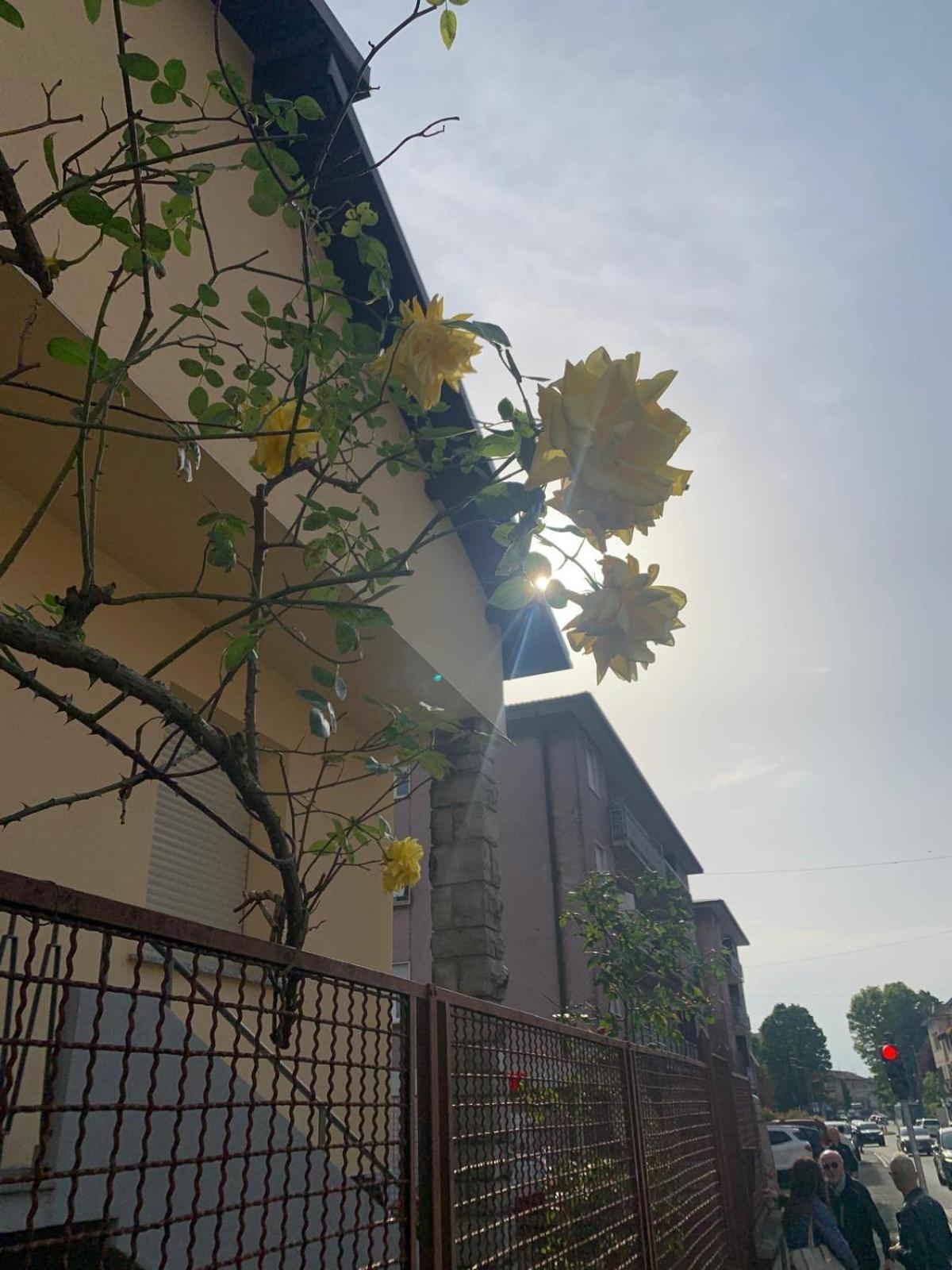 Casa Natasha