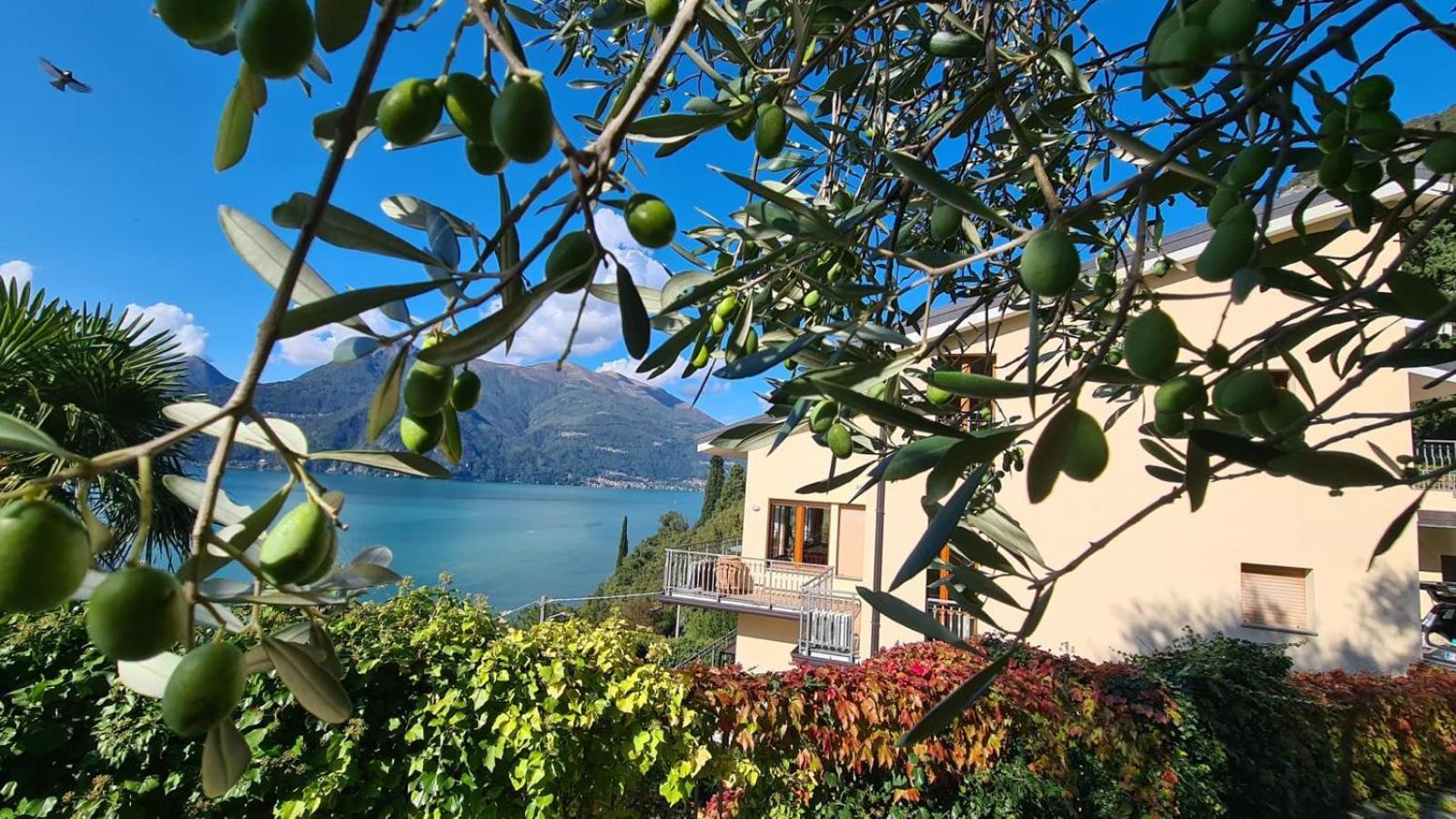 Villa Gli Ulivi - Bariloche & Mountain View