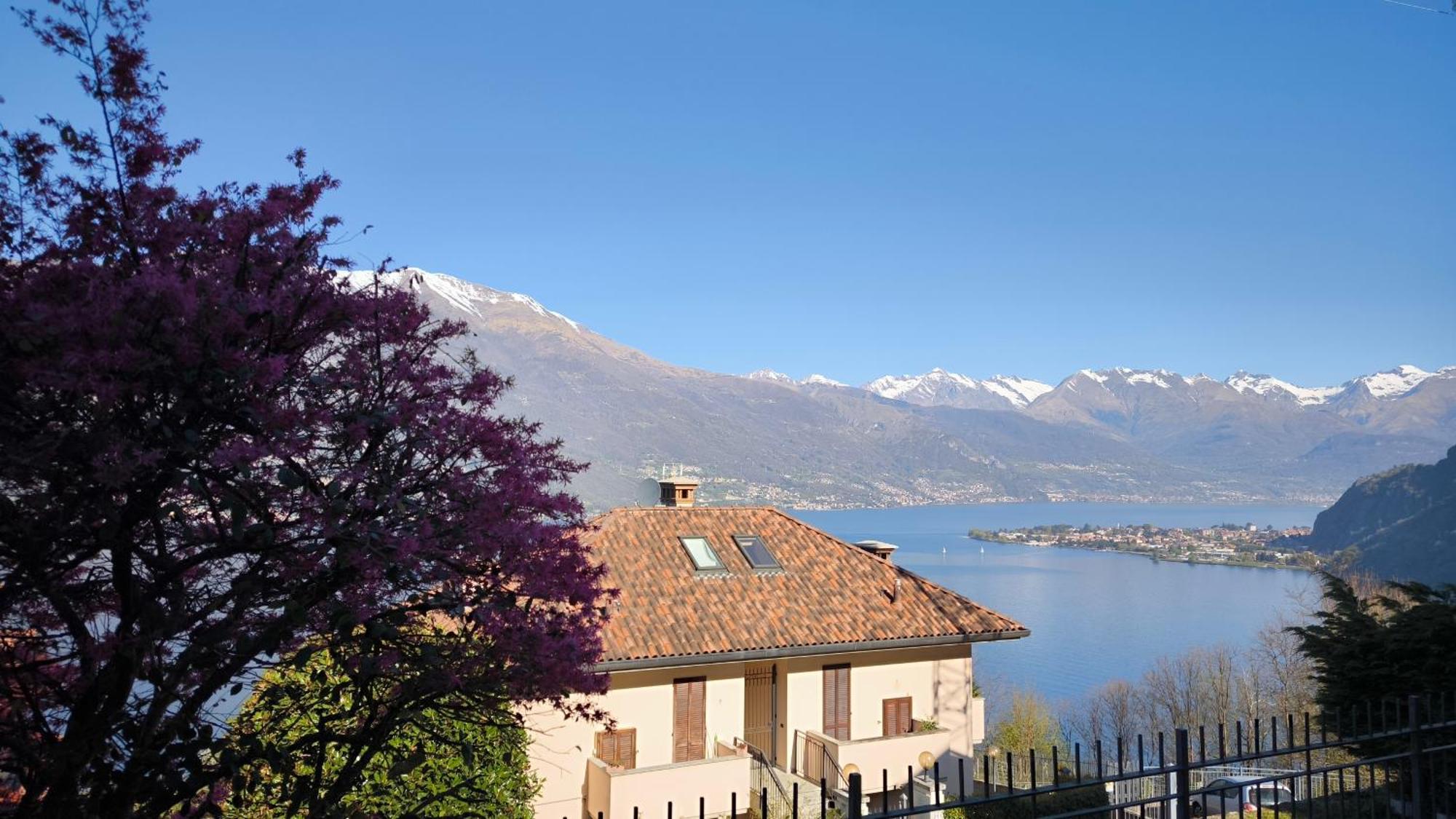 Apartment With Garden And Terrace Beautiful View