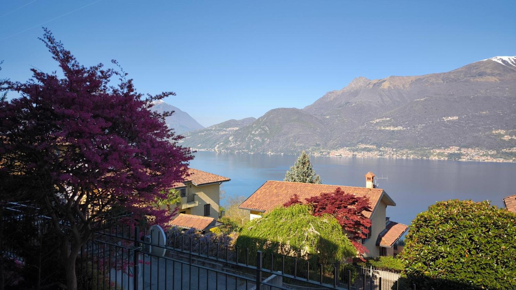 Apartment With Garden And Terrace Beautiful View *